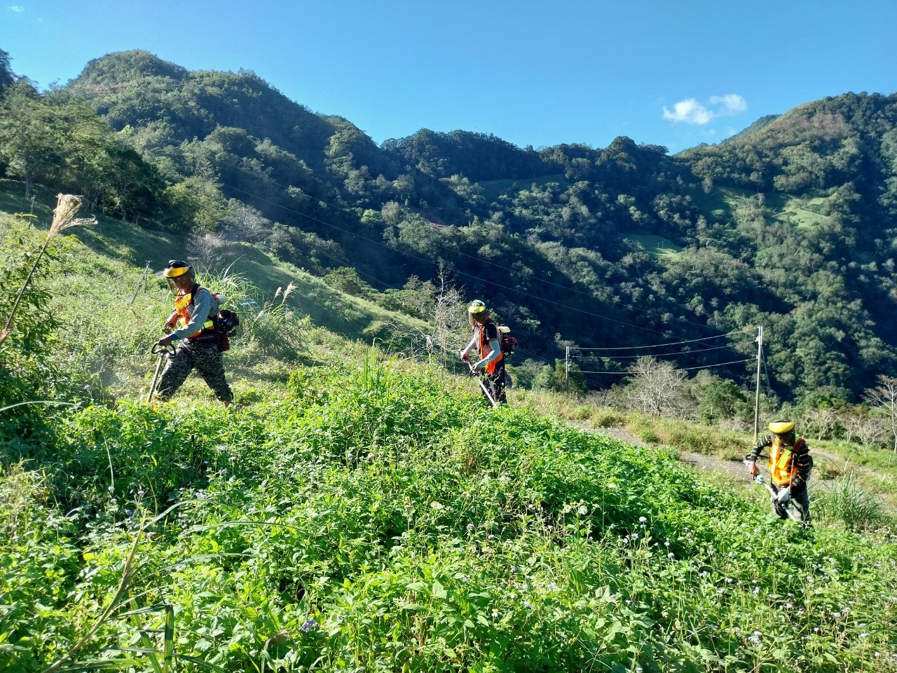 造林與維護工作由當地原住民工班負責，他們熟悉地形與氣候，讓整地與植樹更貼近土地的節奏，這樣的合作也創造了地方就業機會，讓青年能夠返鄉參與。（信義房屋提供）