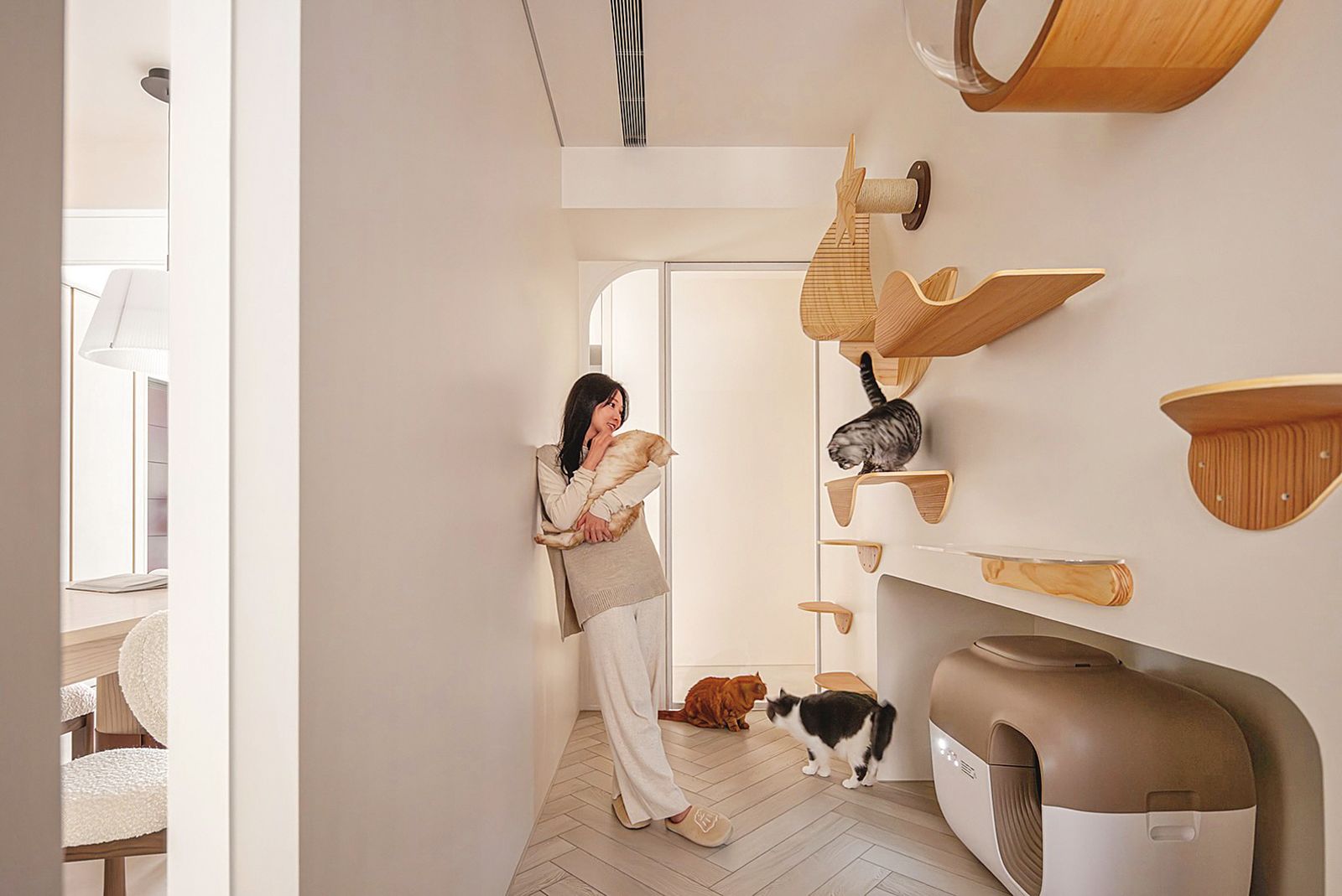 篠崎泫去年宣布買下人生第二間房產，粗估房價至少新台幣5,000萬元，連貓咪都有專屬的寵物空間。（翻攝自篠崎泫臉書）
