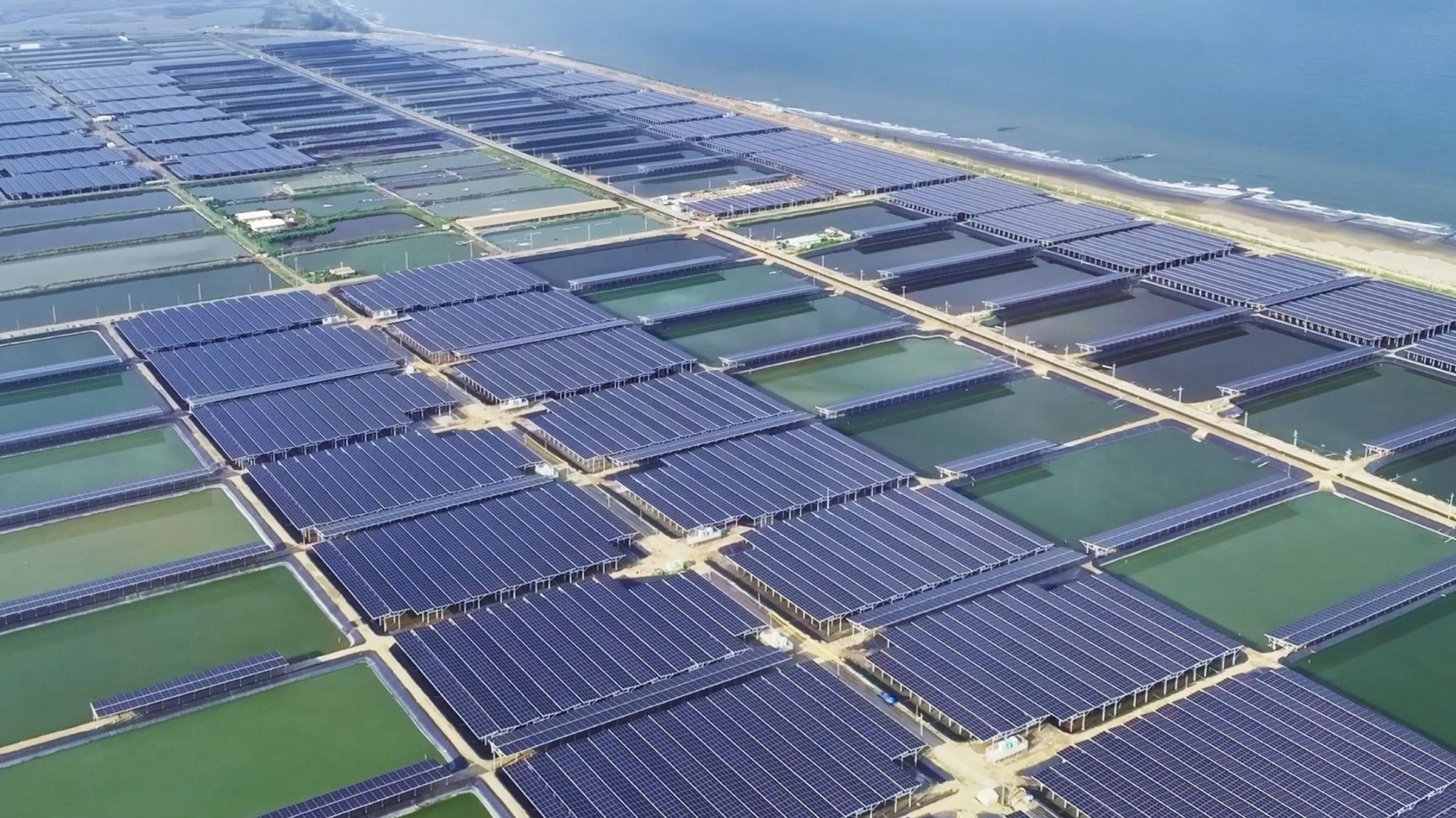 台南北門漁電共生案場是全台最大漁電共生場域，歷時5年成功在台南北門區沿海地區整合170公頃魚塭。（雲豹能源提供）