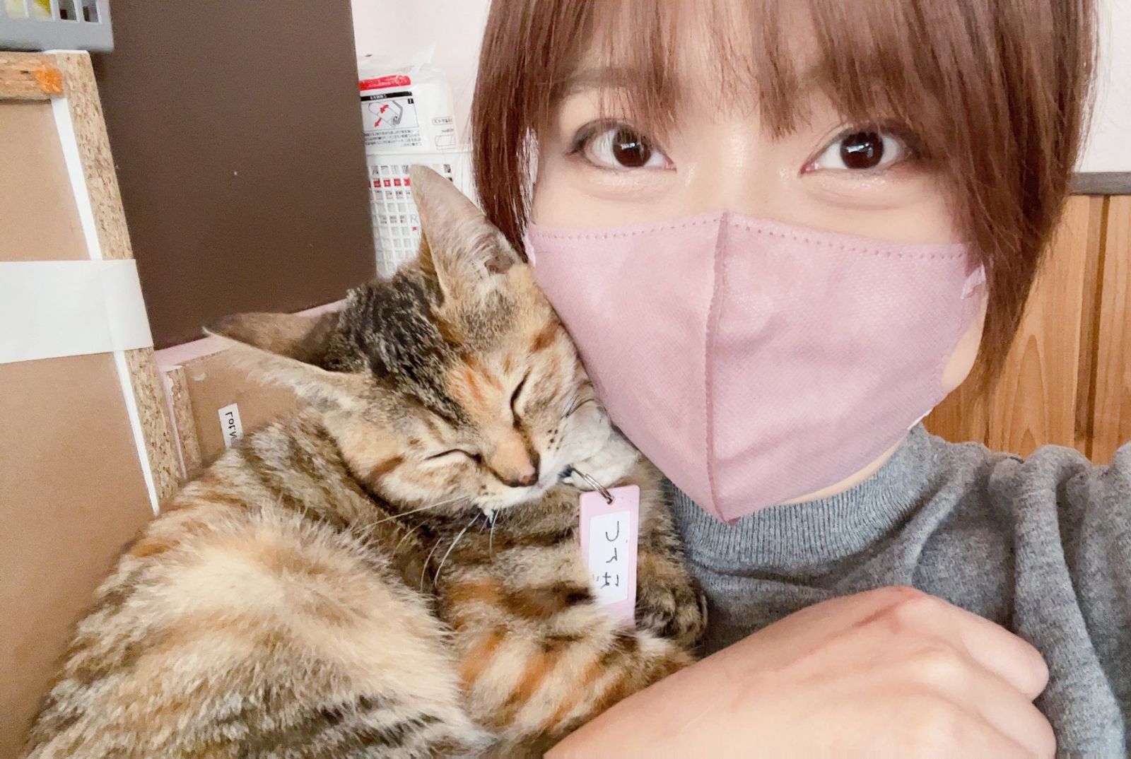 日本栃木縣那須「癒され亭」動物園禁止男性遊客獨自入園,理由是太多男生入場是為了搭訕女園長或女遊客。(翻攝自X@misamama1010)