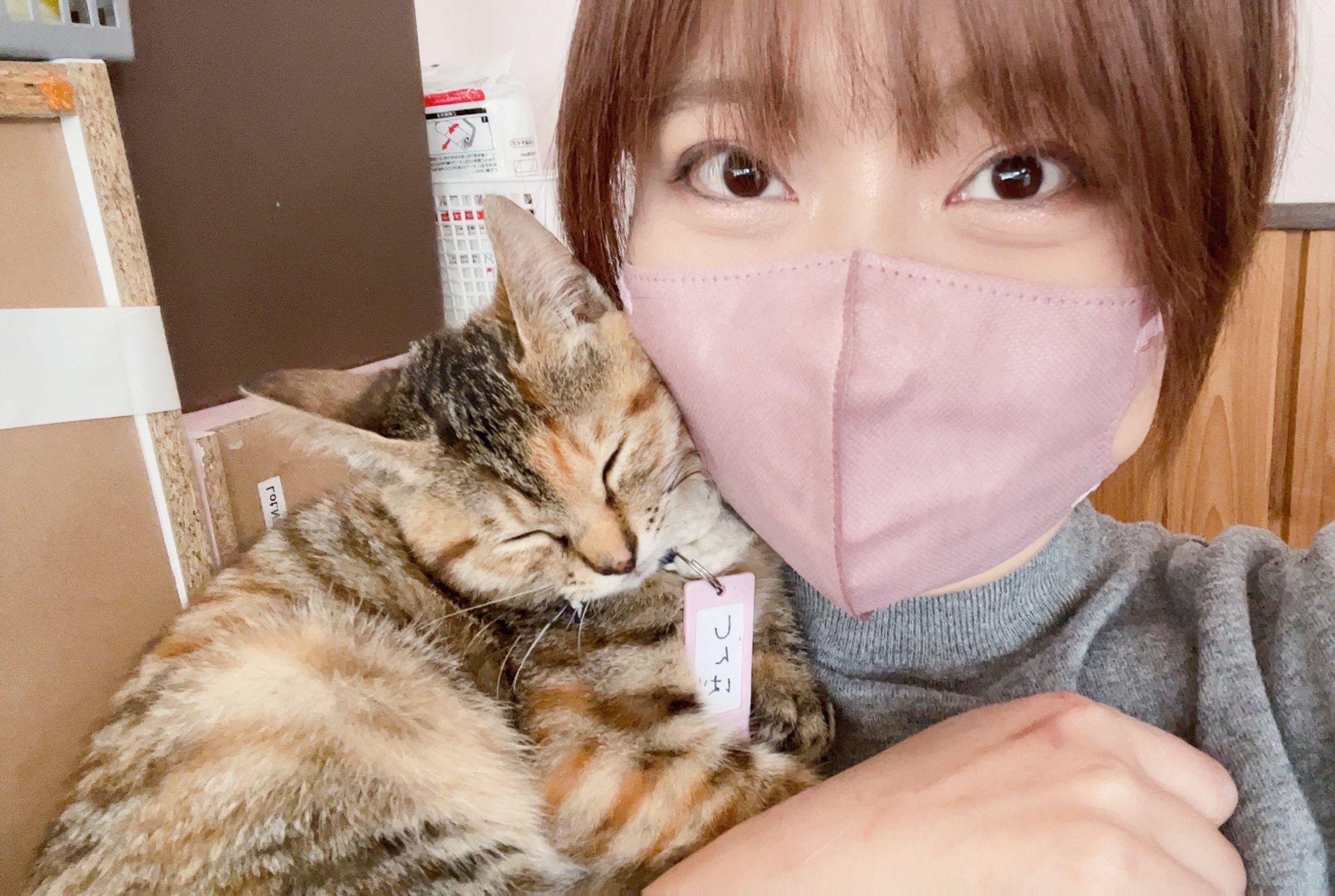 日本栃木縣那須「癒され亭」動物園禁止男性遊客獨自入園,理由是太多男生入場是為了搭訕女園長或女遊客。(翻攝自X@misamama1010)