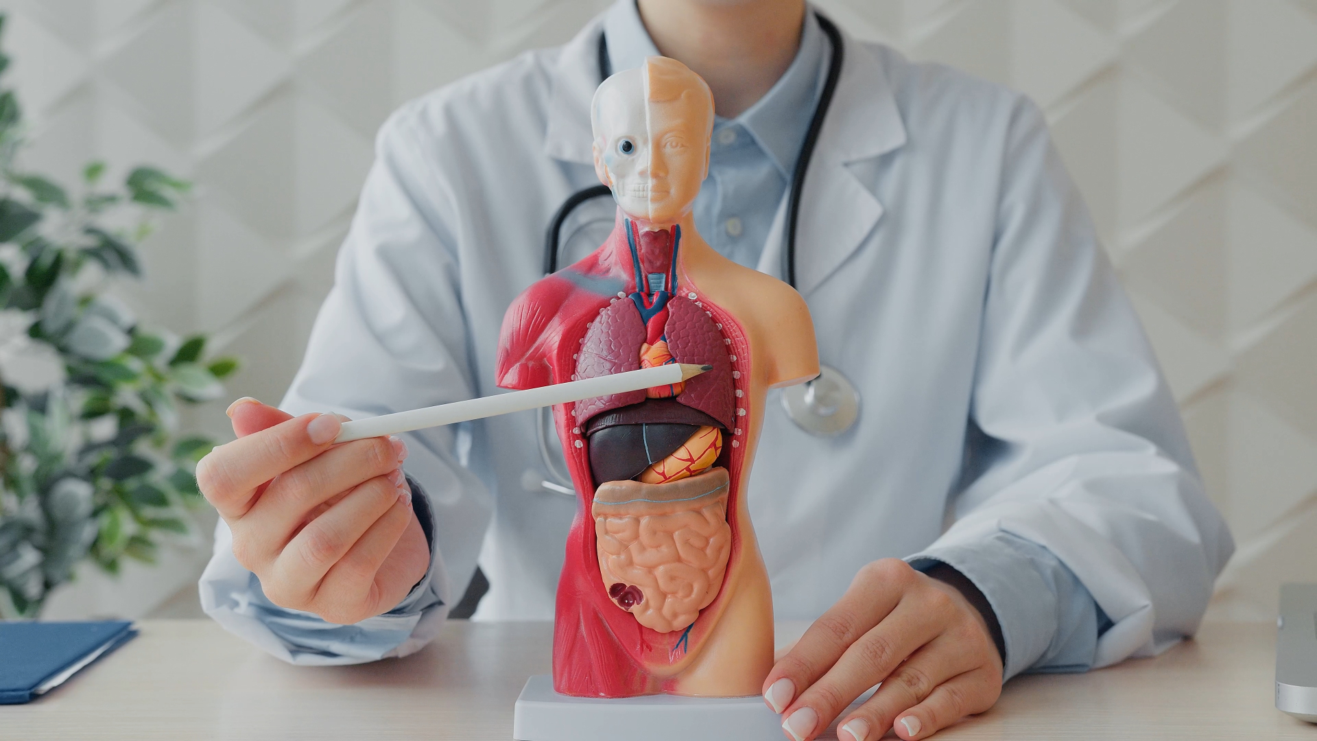 研究顯示，飲食習慣可能與肺腺癌發展存在關聯。（示意圖，photoAC）