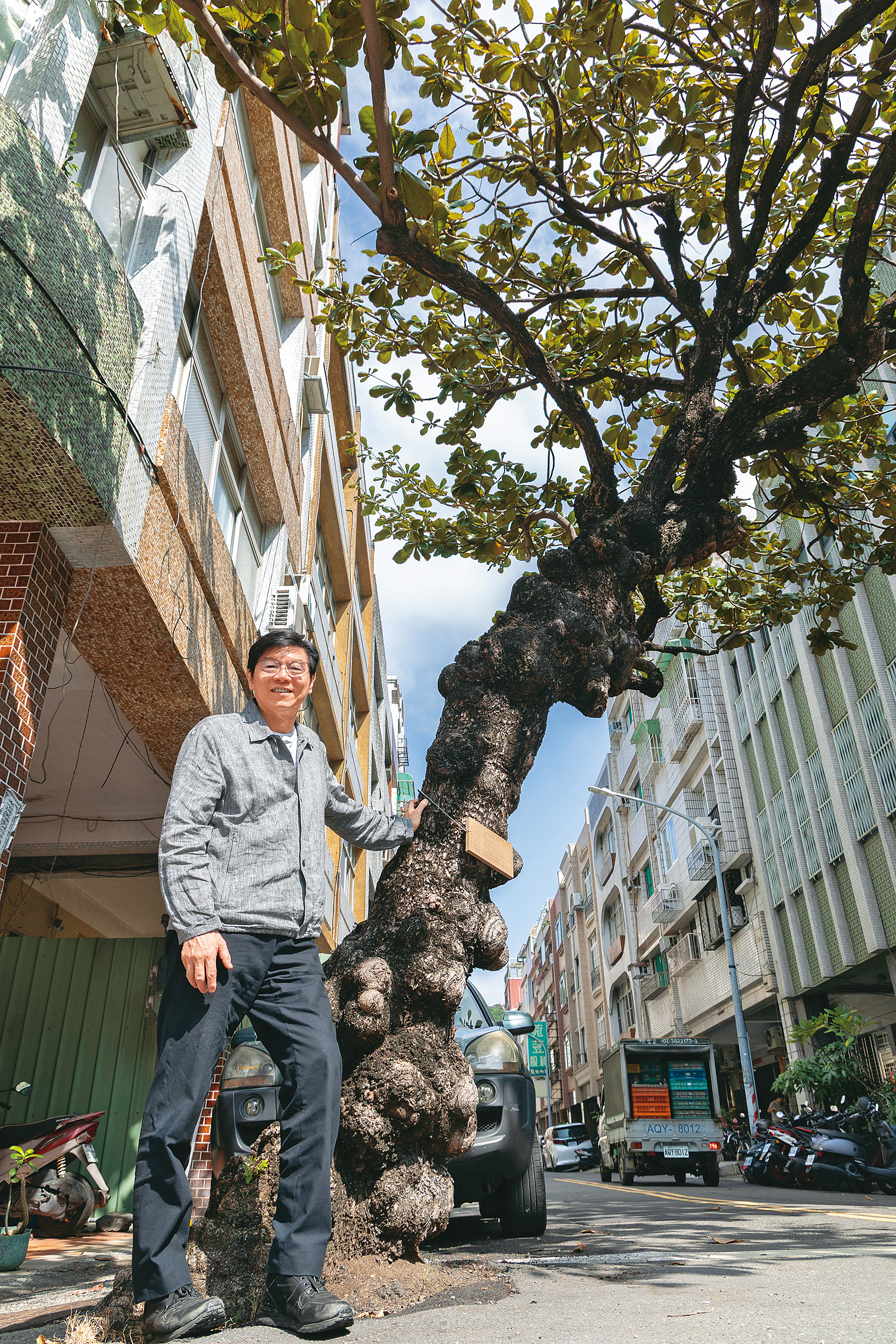 在延平與鼓元街口矗立百年的大葉欖仁樹，是哈瑪星的精神象徵。