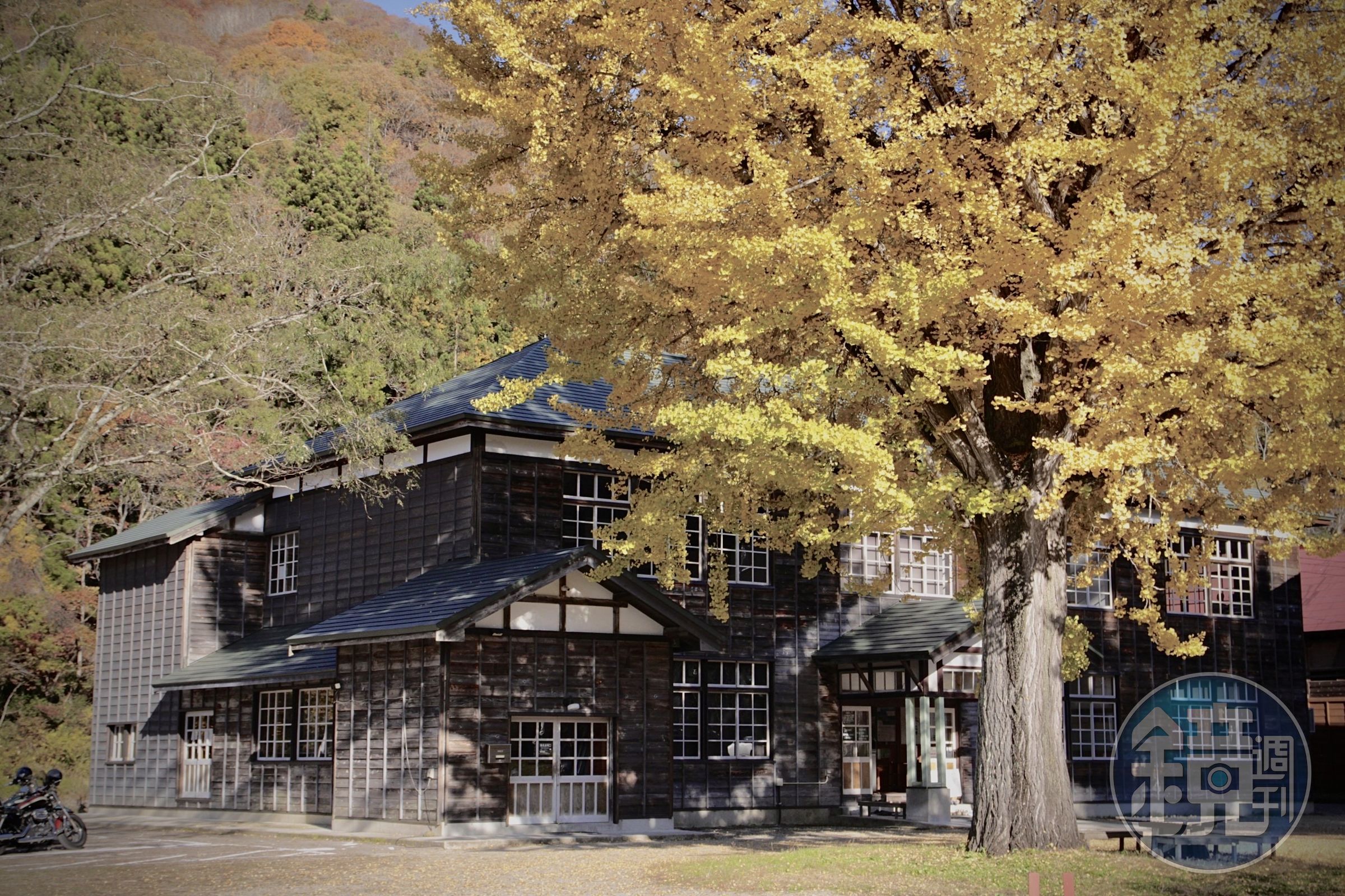 木建築的「喰丸小學校」被山林與大銀杏樹包圍於其中。
