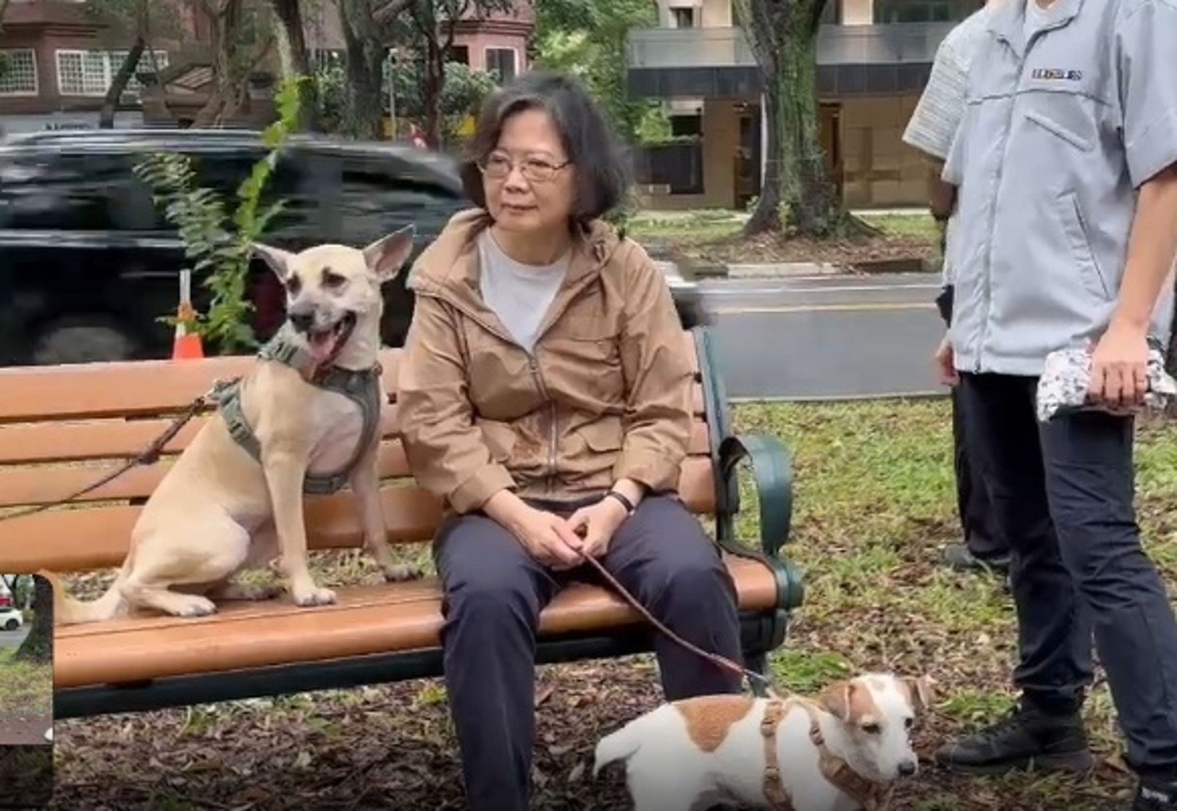 前總統蔡英文今現身遊行，親民的帶著愛犬在路邊向遊行隊伍揮手。（翻攝畫面）
