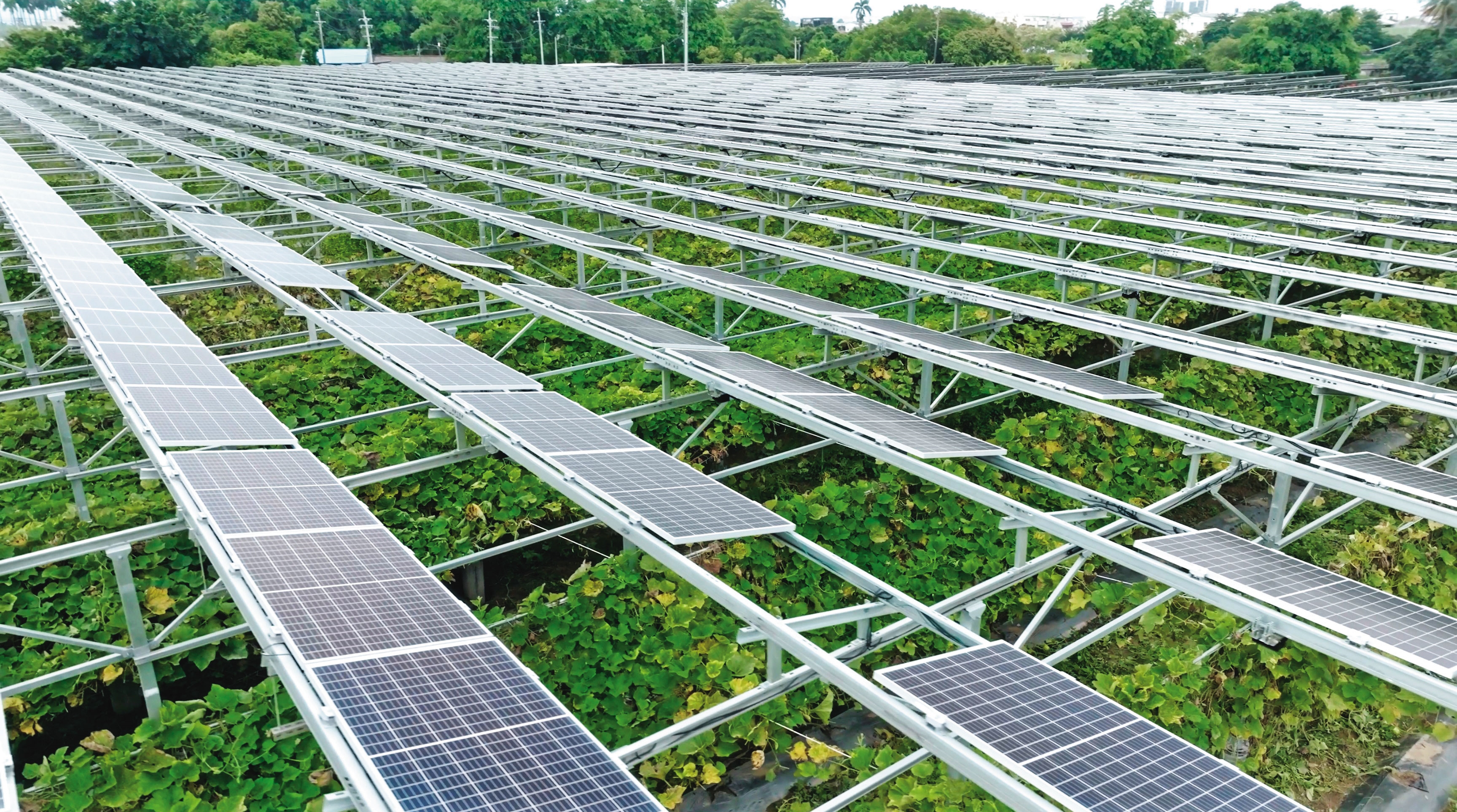 台灣太陽能綠電供應嚴重不足，遠遠無法滿足企業所需。（寶晶提供）