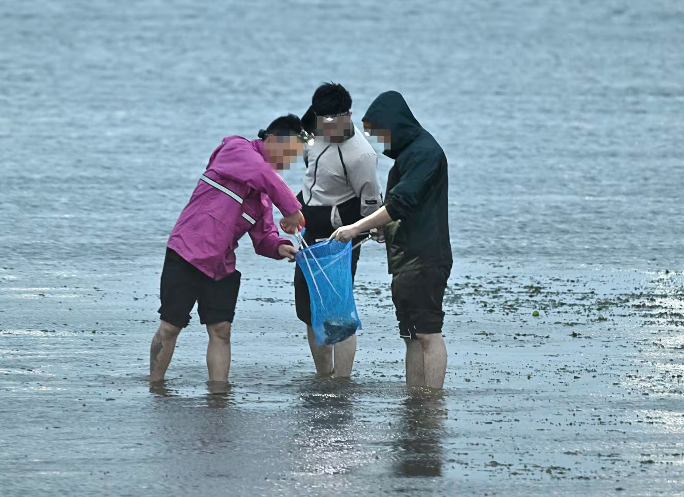 當地居民發現,這幾年有不少中國獵捕團湧入海邊。(翻自X平台)
