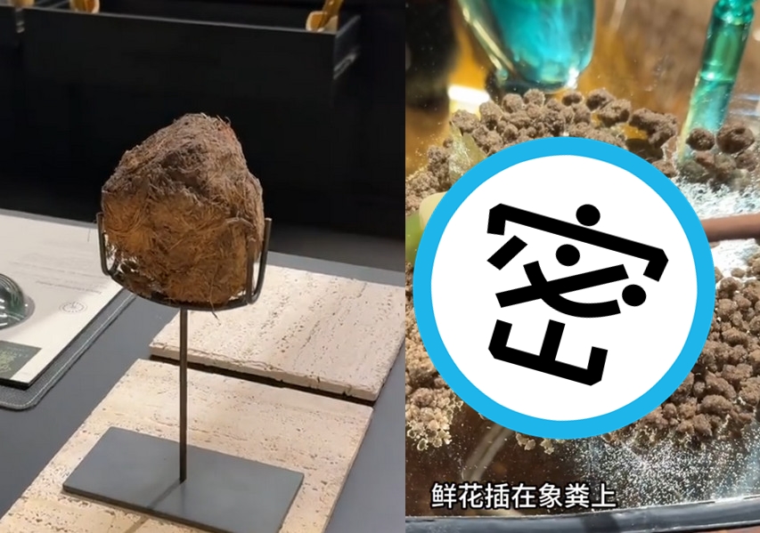 上海一家生態餐廳要價不菲,卻提供樹葉、螞蟻等原始食材。(翻攝微博)