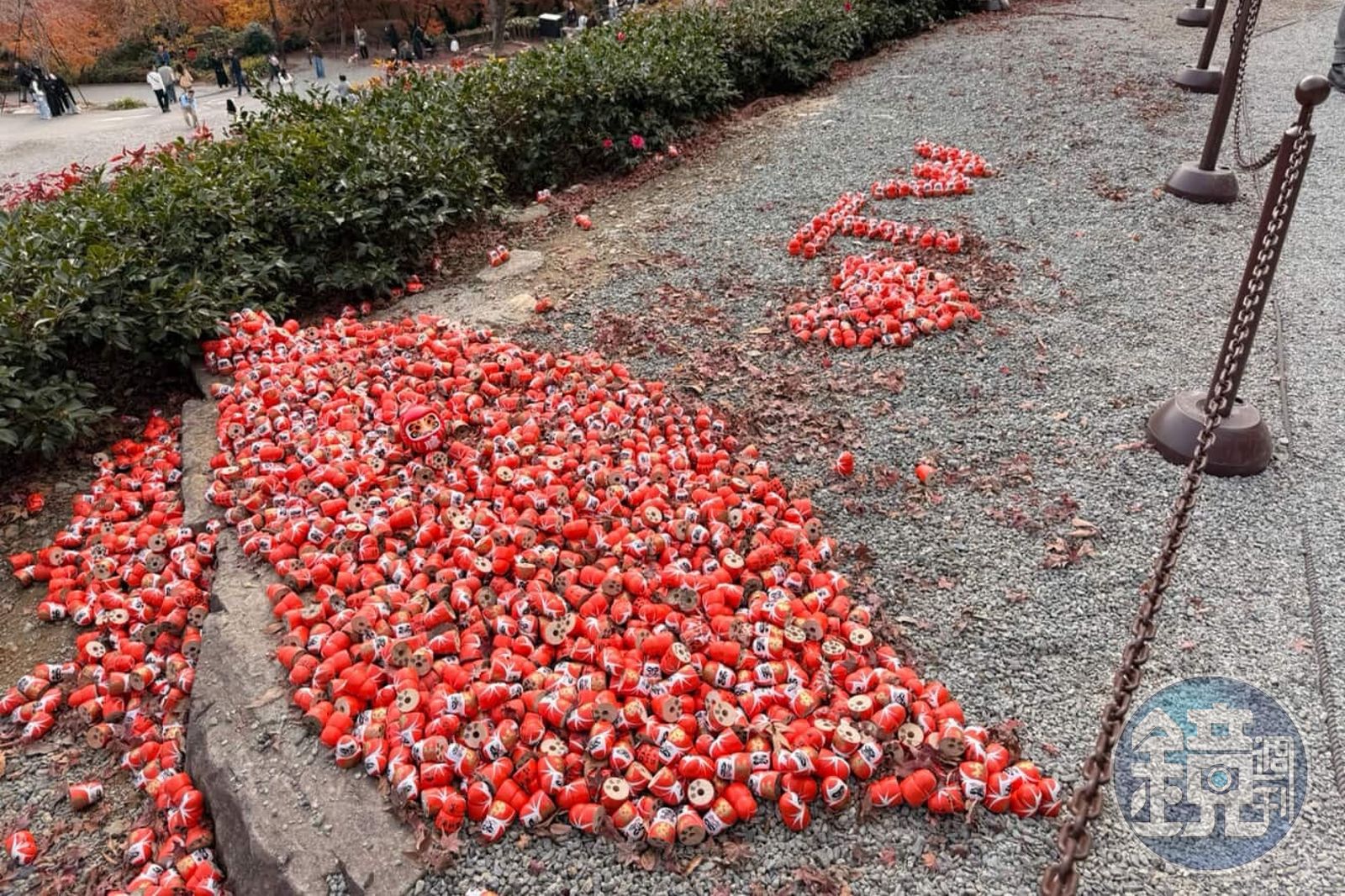 日本直擊！中國女沒品毀掉「台灣達摩陣」　旅客暖心出手1天內復原