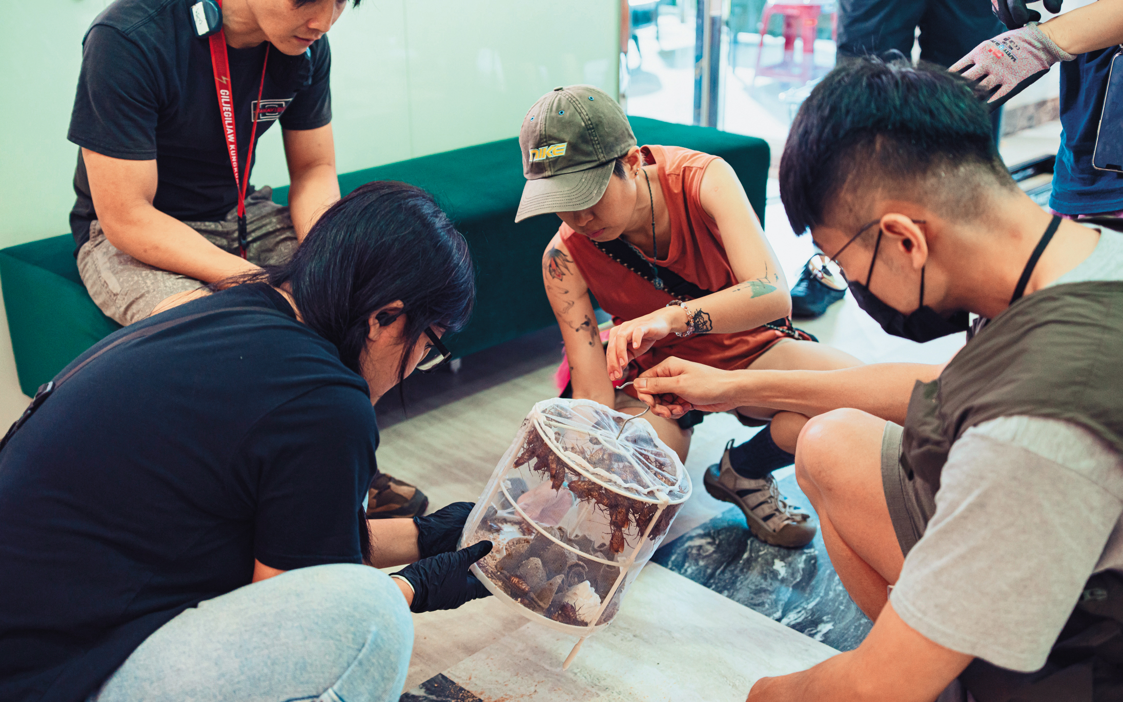 為讓特效團隊參考真實動作,劇組買來上百隻蟑螂拍攝實拍影片。(甲上提供)