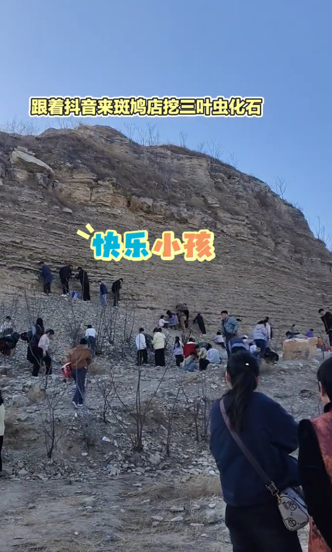 許多人冒險站在山壁挖掘化石。(翻攝抖音)