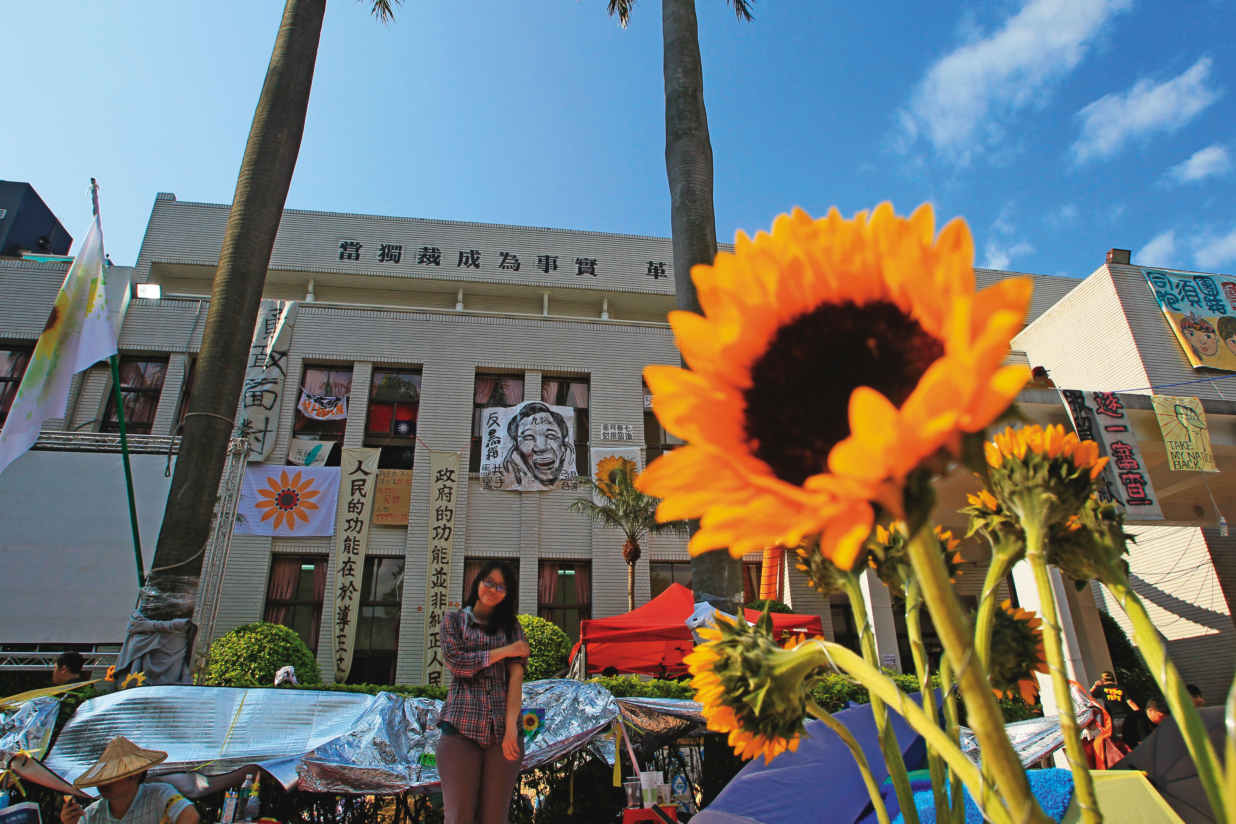 太陽花運動改變的政治局勢，歷經10年後也有了新的面貌。