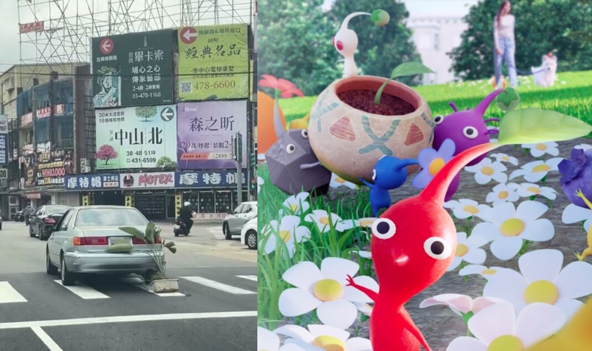 有網友在桃園楊梅捕捉到驚人畫面，一輛行駛中的轎車車尾竟然夾著一盆綠色植物，並在柏油路上拖行一段距離，讓人看了笑稱「野生皮克敏」。（翻攝自網路、Pikmin Bloom）