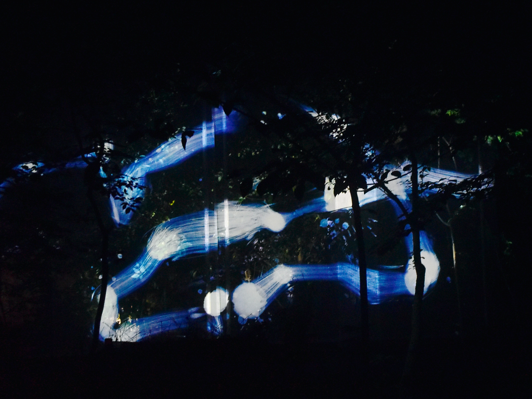 「Spatial Calligraphy in the Forest - One Stroke, Secondary Forest」在空間裡用光影寫書法，墨跡遊走林間。