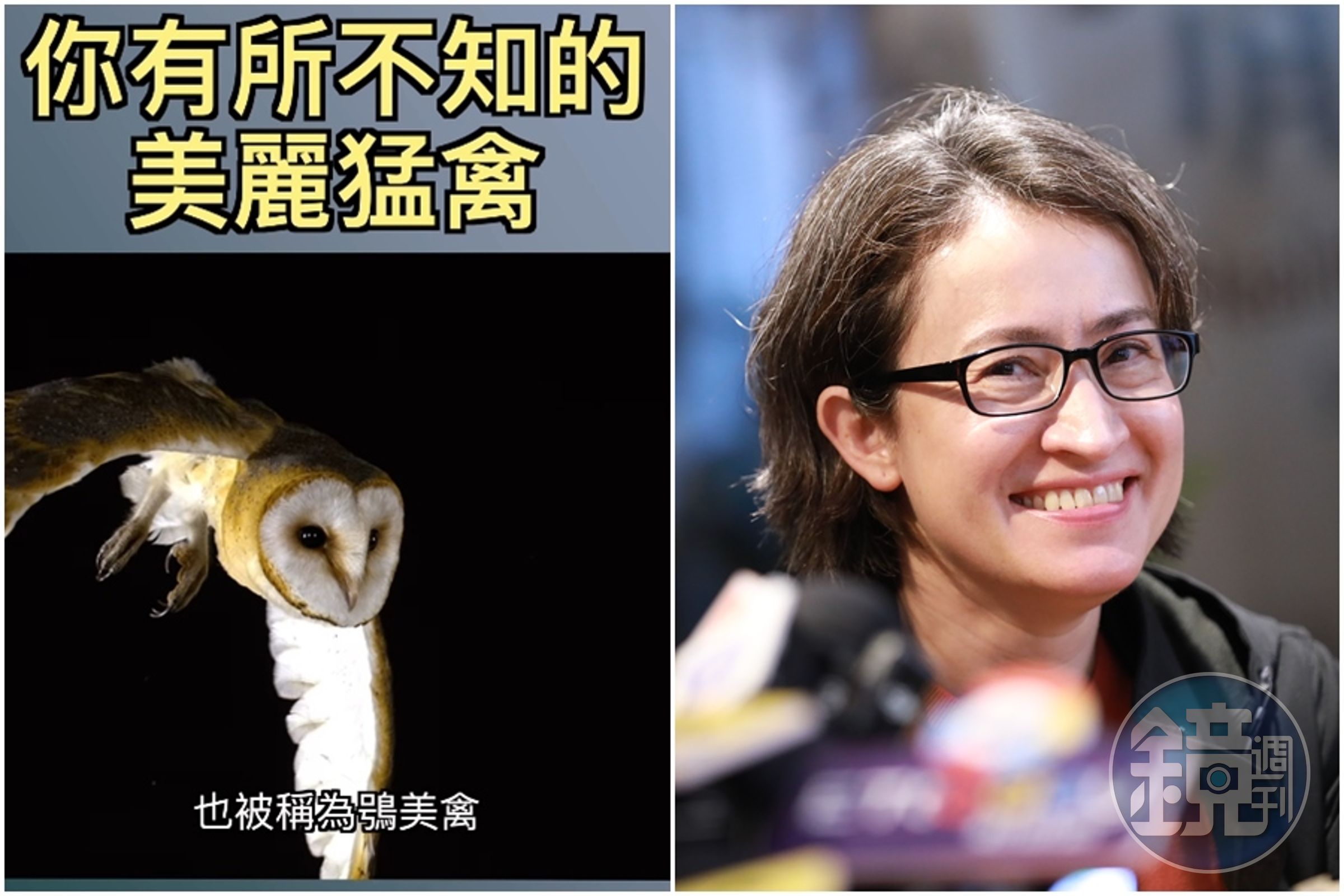配音員「星期天配音是對的」近日推出動物頻道影片介紹「鴞美禽」,沒想到釣到本尊「蕭美琴」來留言。(左圖翻攝自IG@sundayright_dub)