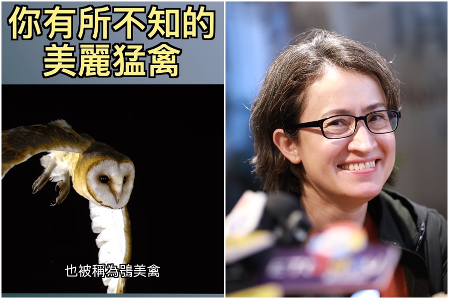 配音員「星期天配音是對的」近日推出動物頻道影片介紹「鴞美禽」，沒想到釣到本尊「蕭美琴」來留言。（左圖翻攝自IG@sundayright_dub）