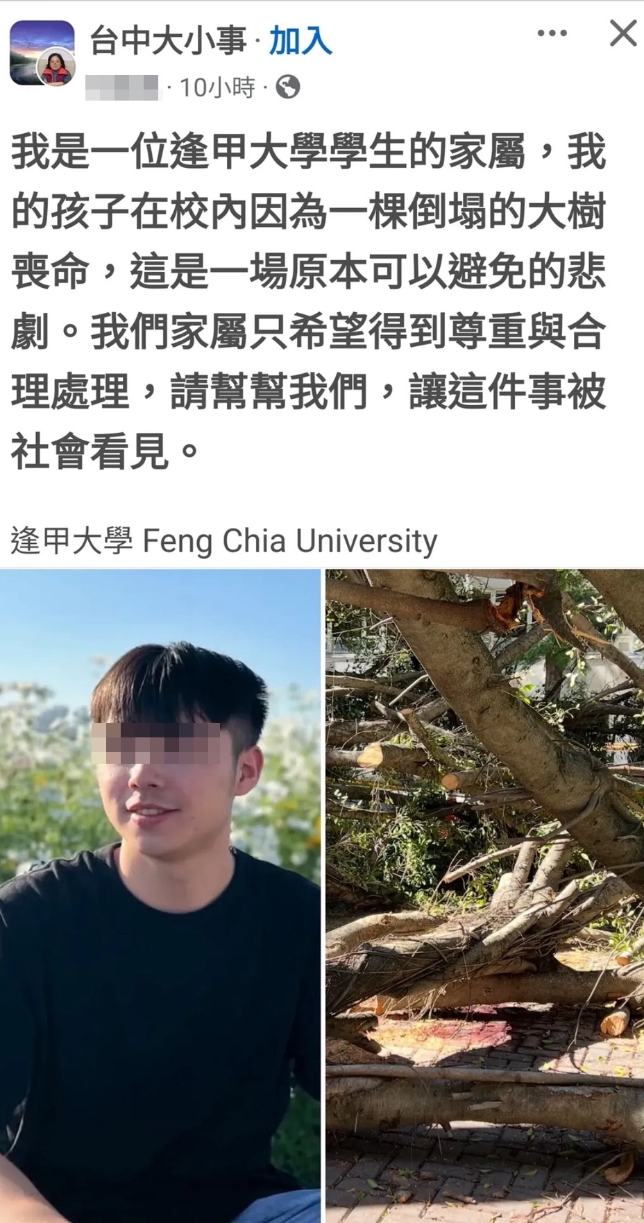 吳母表示，指控校方早知樹木生病卻遲遲未處理。（翻攝畫面）