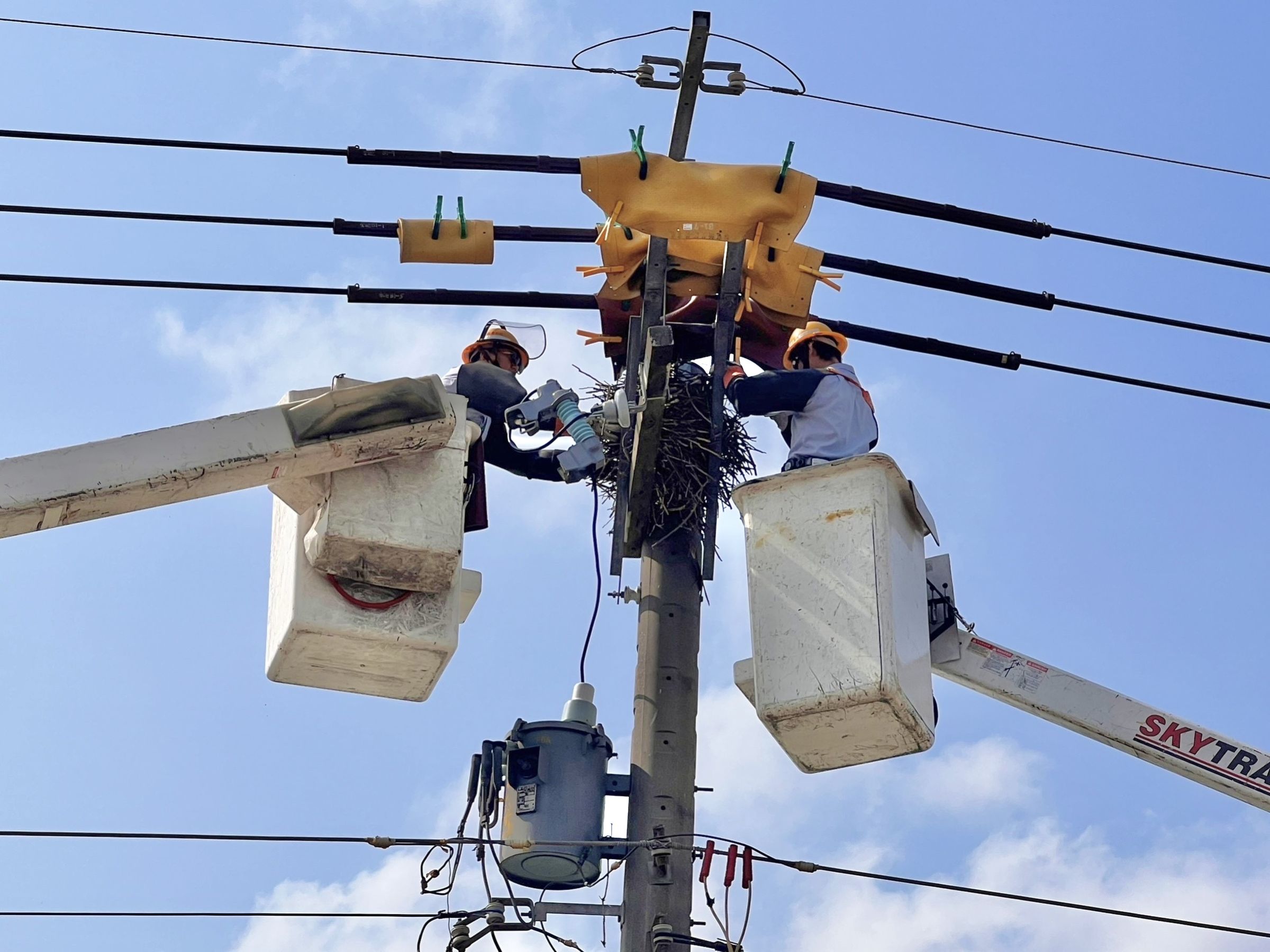 台電近期強化供電穩定,避免小動物導致的跳電意外。(台電提供)