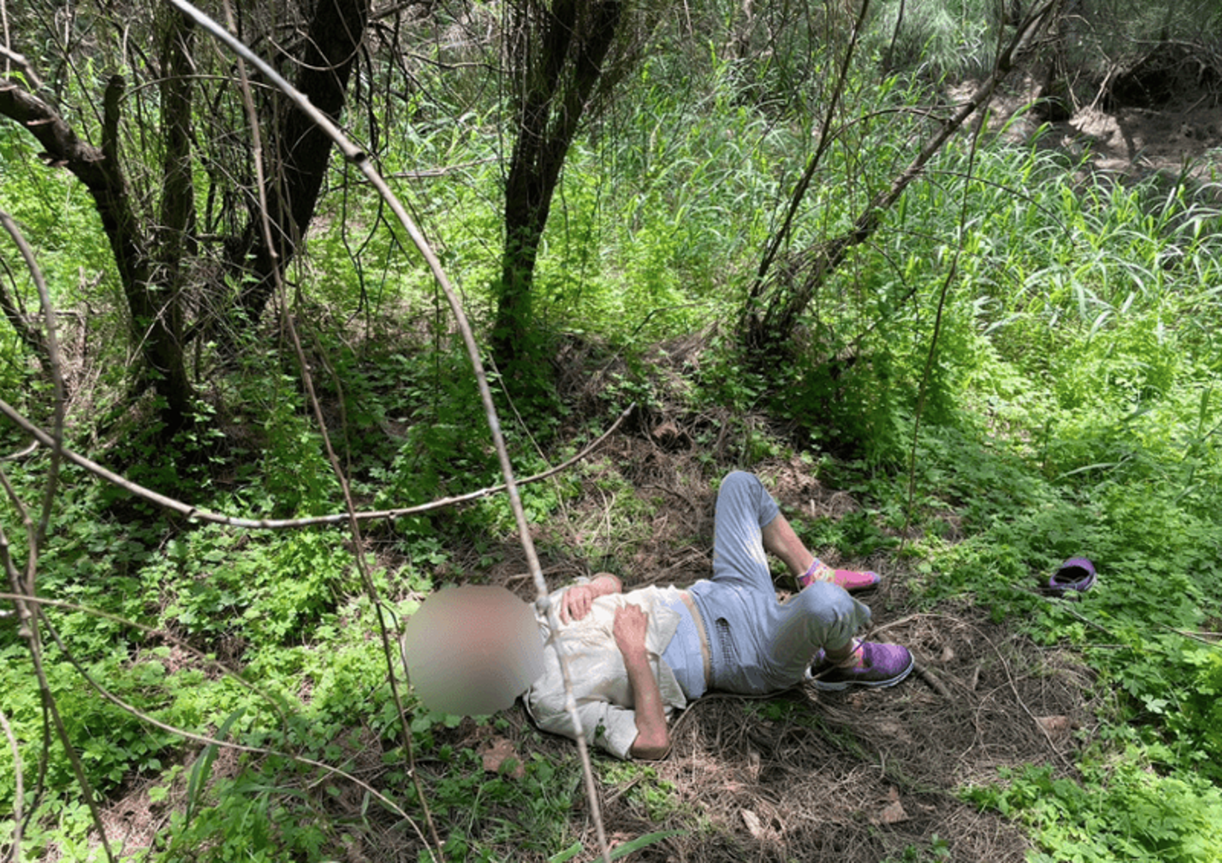 賴婦13日上午被發現倒在防風林,目前在醫院接受治療。(翻攝照片)