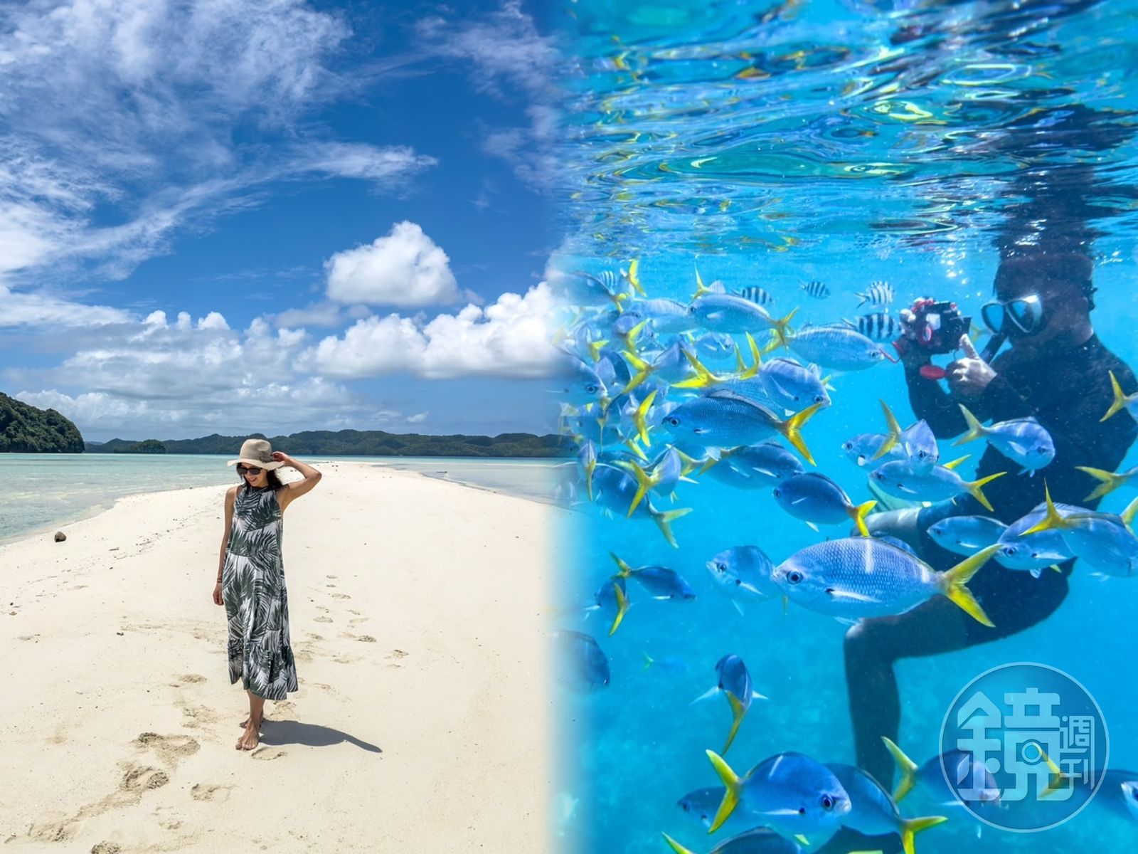帛琉有「上帝的水族箱」美譽，從沙灘上到海裡都美到令人驚嘆。 
