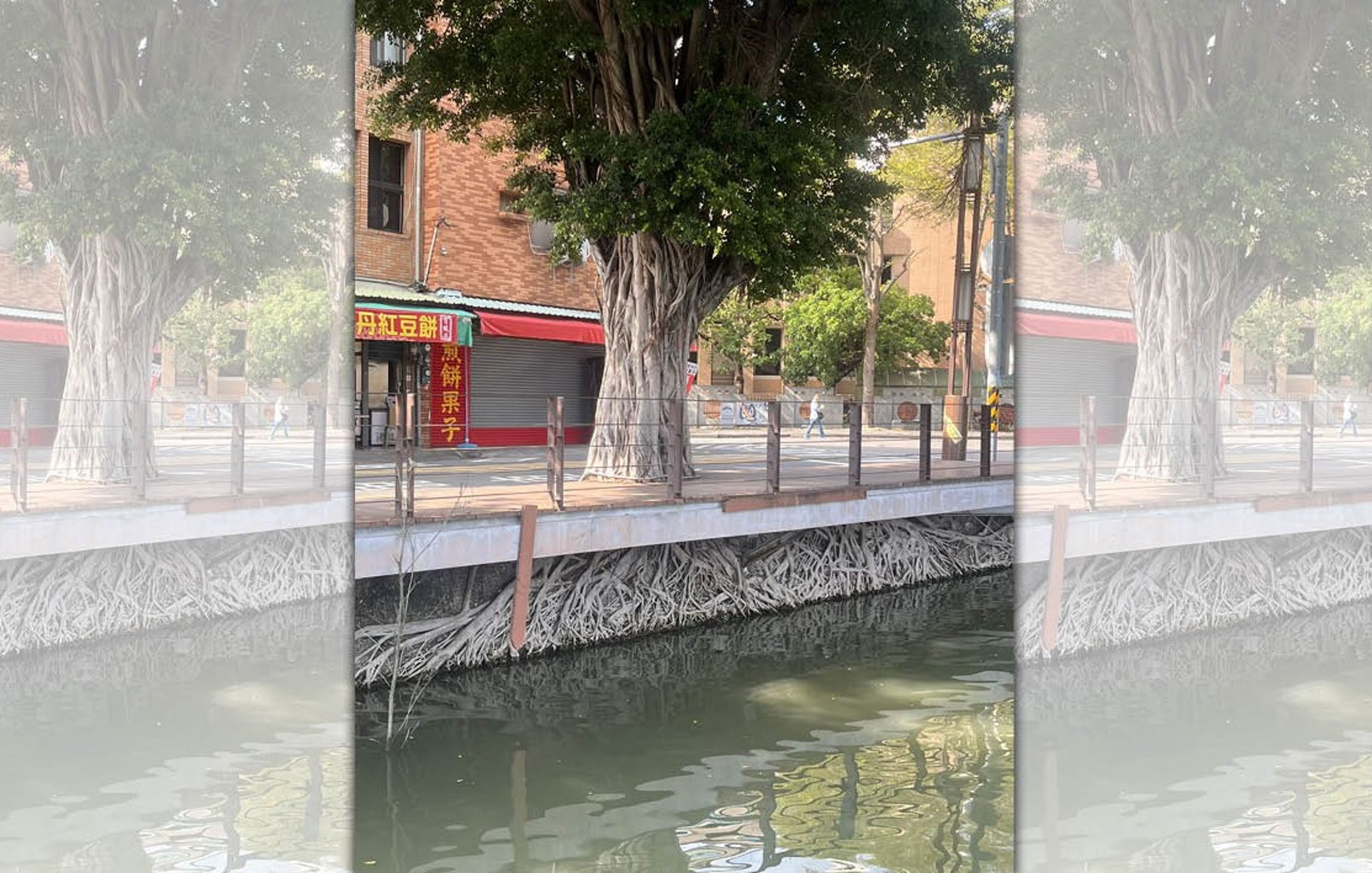 高雄蓮池潭樹根包覆水泥基柱,盤根錯節神奇景象引發網路熱議。(翻攝自X @元台湾留学生ばなな)