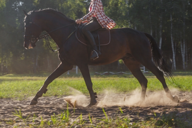 一對男女在淡水公車站後車亭以「騎乘式」親密放閃。（示意圖，photoAC）