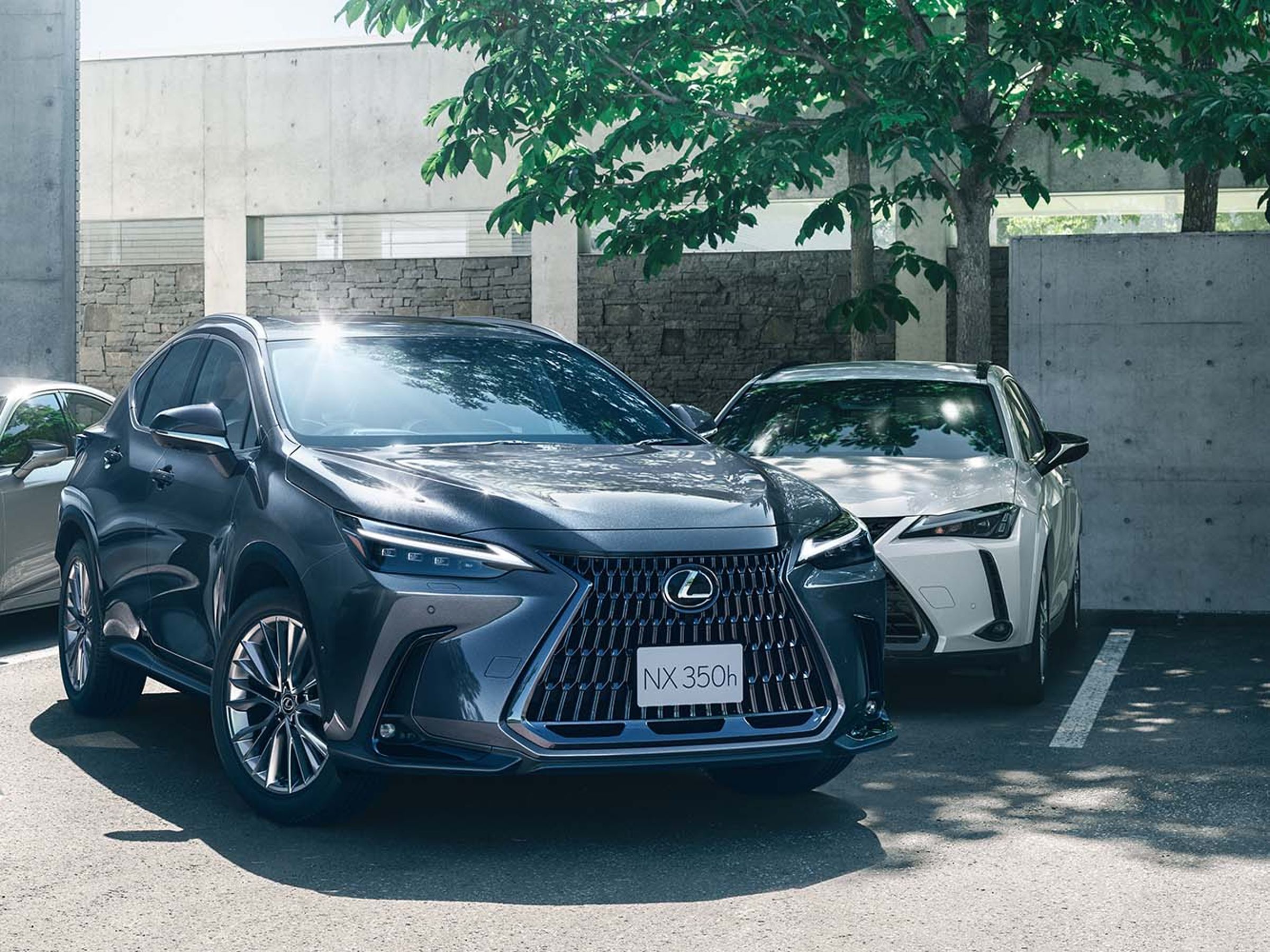 LEXUS NX350h