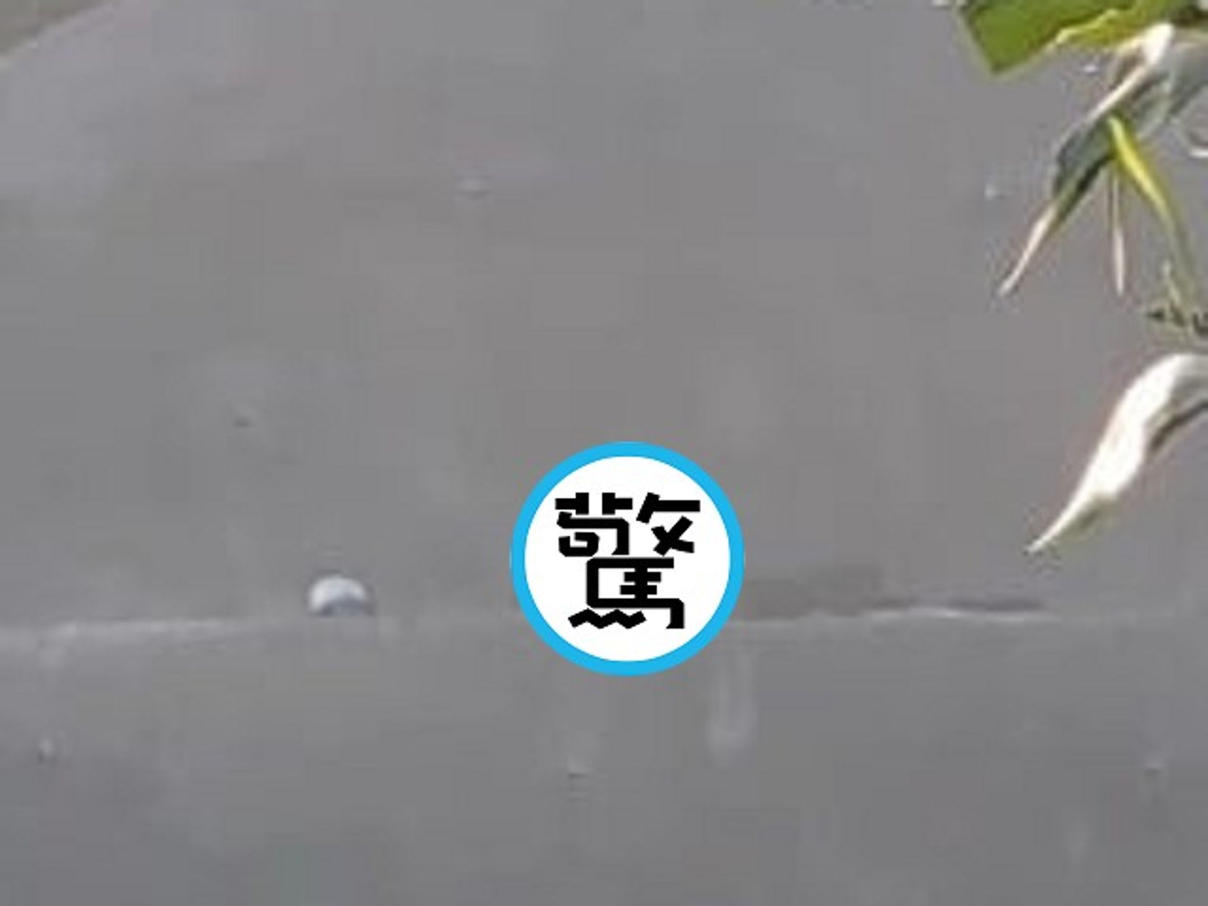 情侶登山以地為床纏綿，鄉民看傻眼大叫「喂」！全縮了。（翻自臉書）
