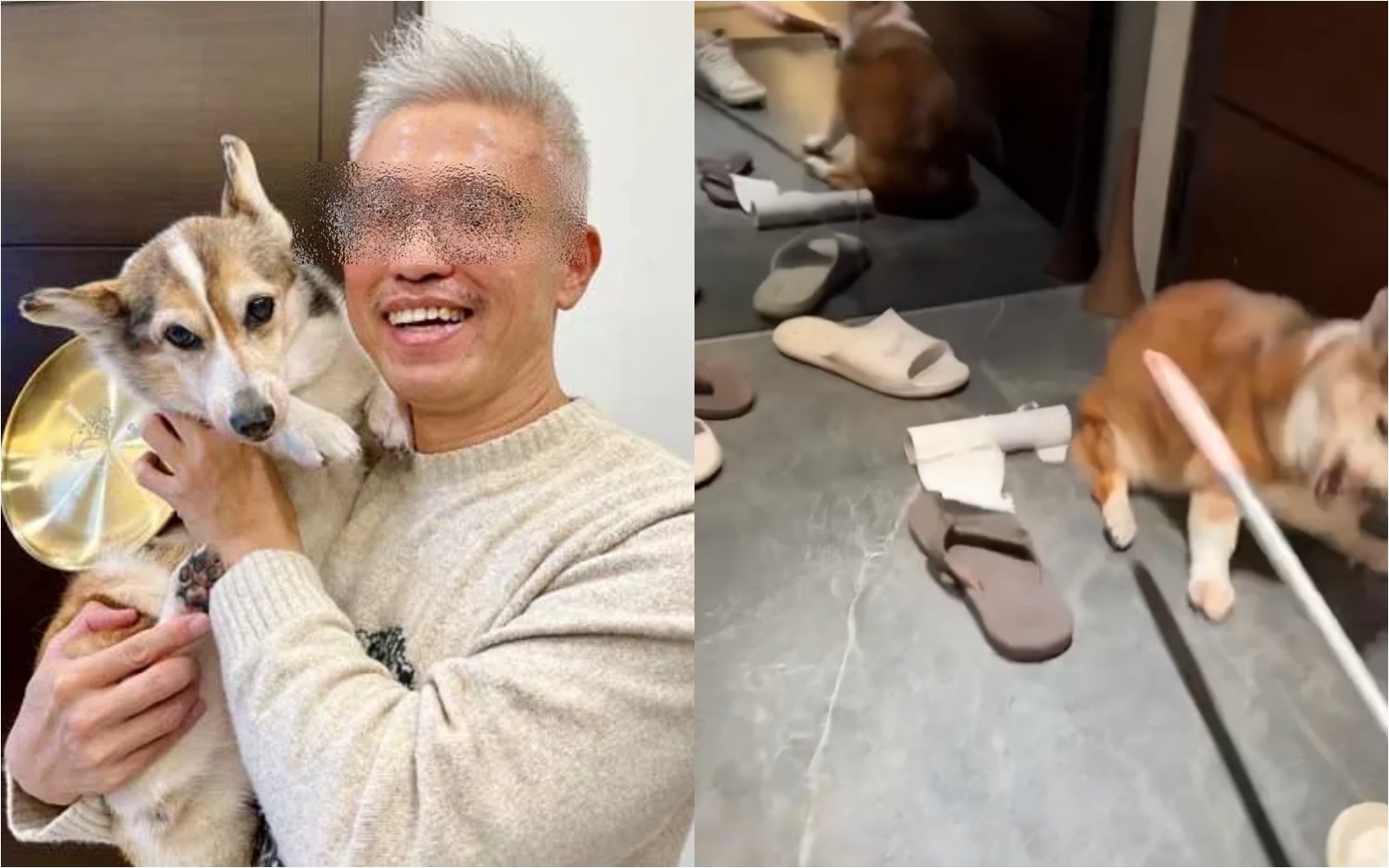 對柯基犬暴打飆罵的詹男竟曾榮獲新北市模範飼主,相當諷刺。(翻攝自新北市府/Threads)