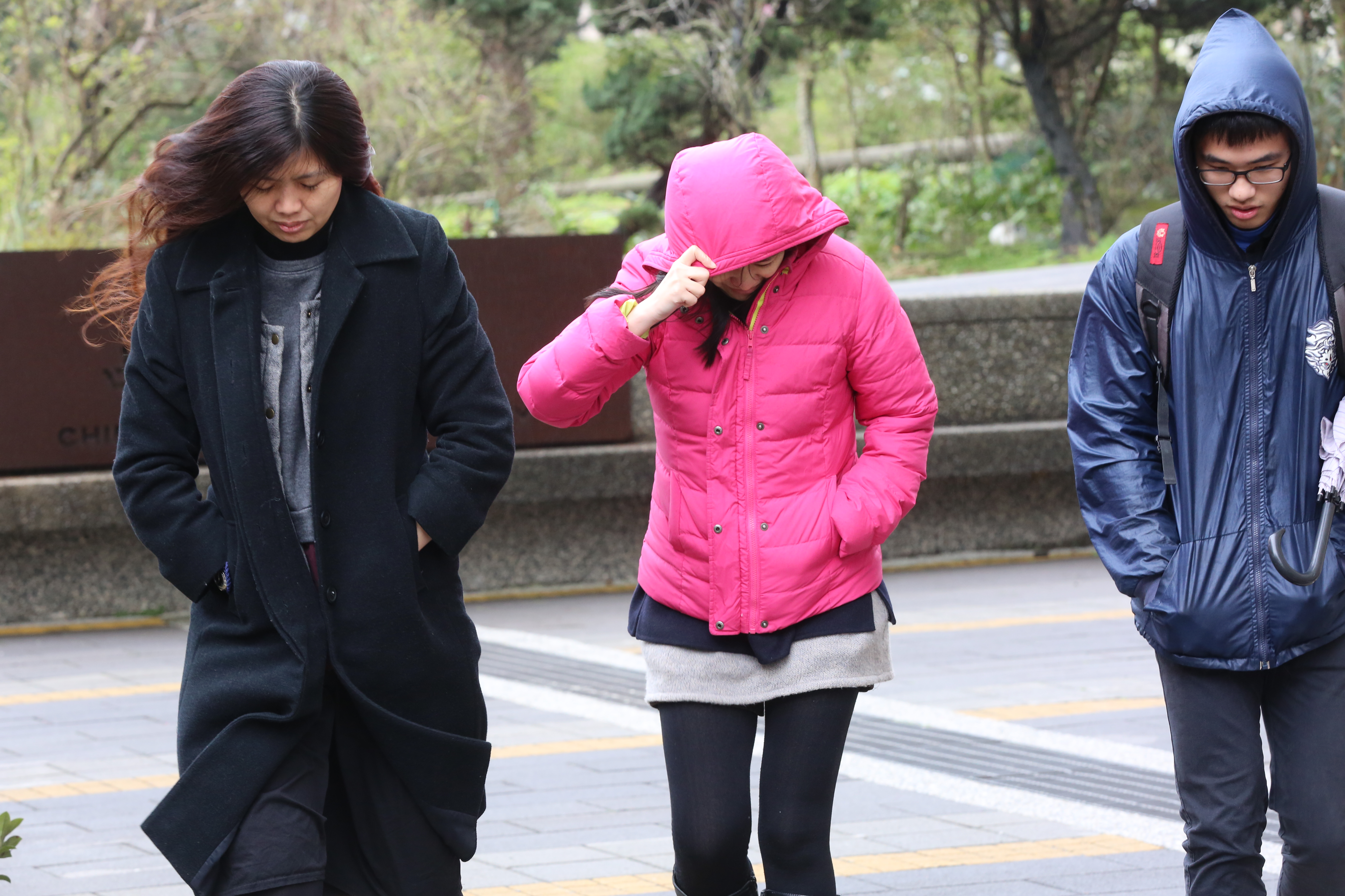 下週將有一波寒流南下，預估中部以北及東北部低溫普遍為6至8度。（示意圖，本刊資料照）