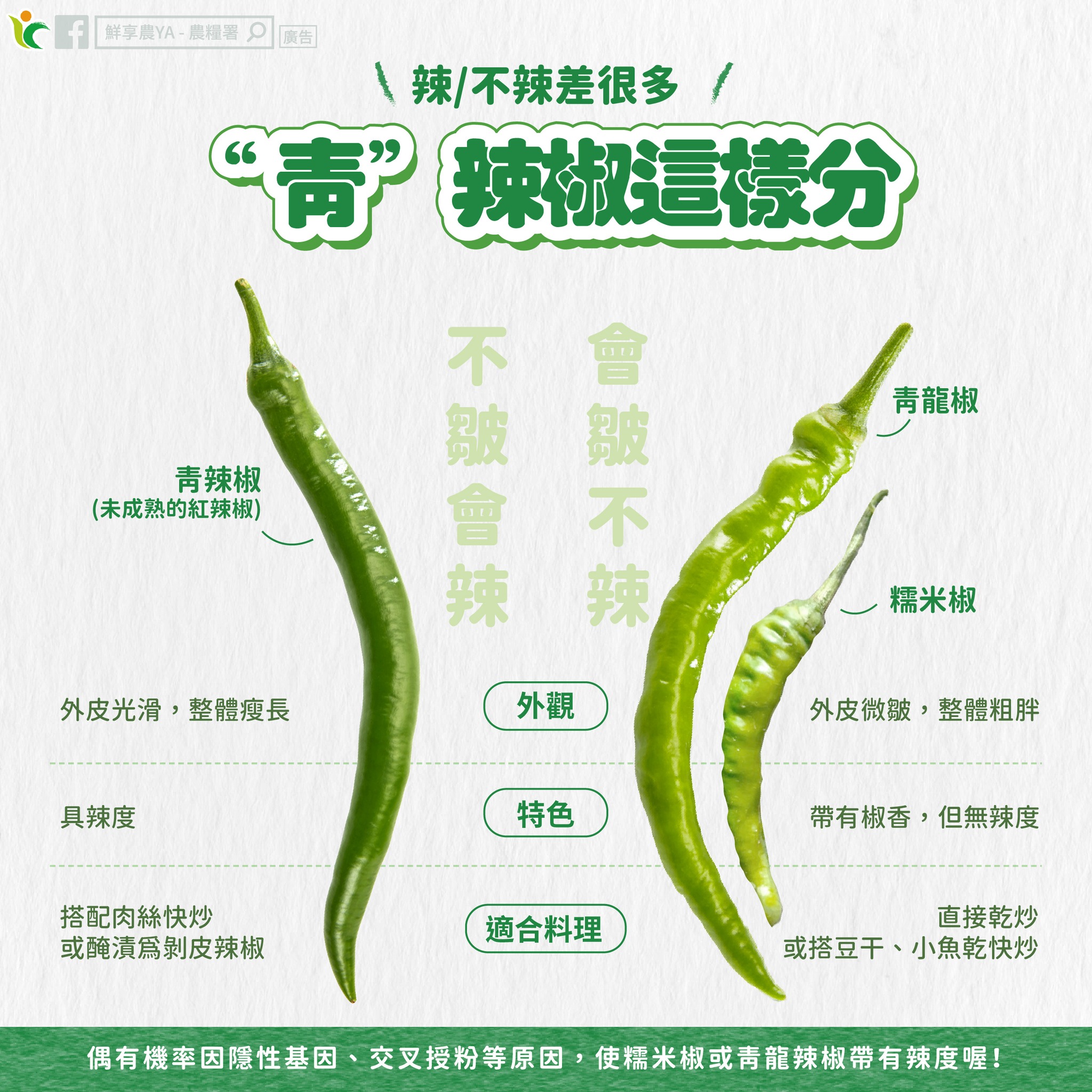 農糧署指出,其實只要從外表「皺不皺」,就可以輕鬆判斷青辣椒「辣不辣」。(翻攝自鮮享農YA - 農糧署臉書)