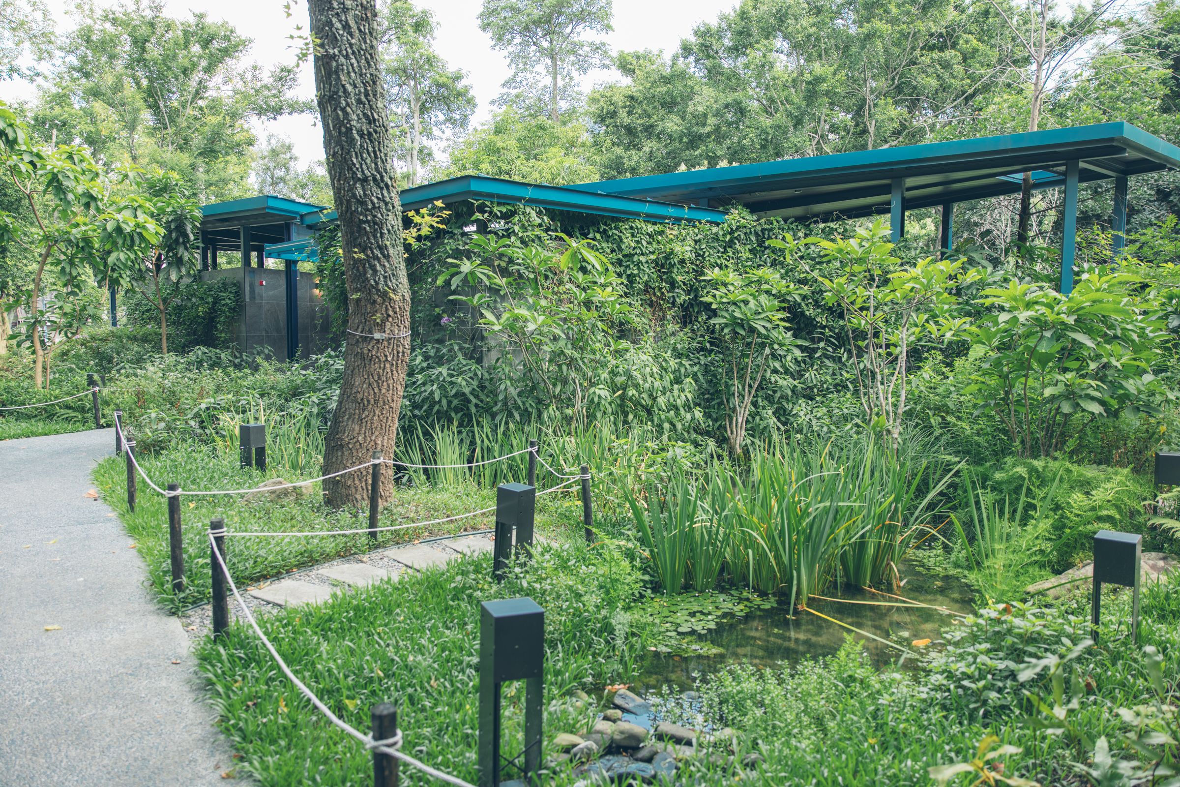 大安森林公園去年6月啟用北市首座生態廁所，兼顧生態和永續成為公廁新典範。（大安森林公園之友基金會提供）