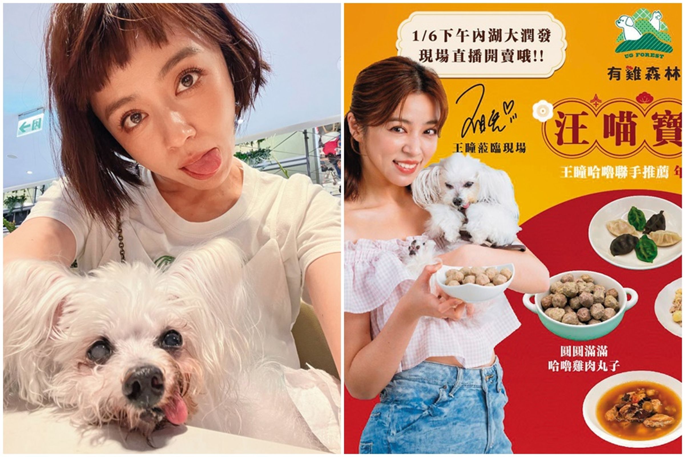艾成的艾叻沙品牌推毛孩年菜,王瞳帶愛犬哈嚕代言。(翻攝自王瞳IG)