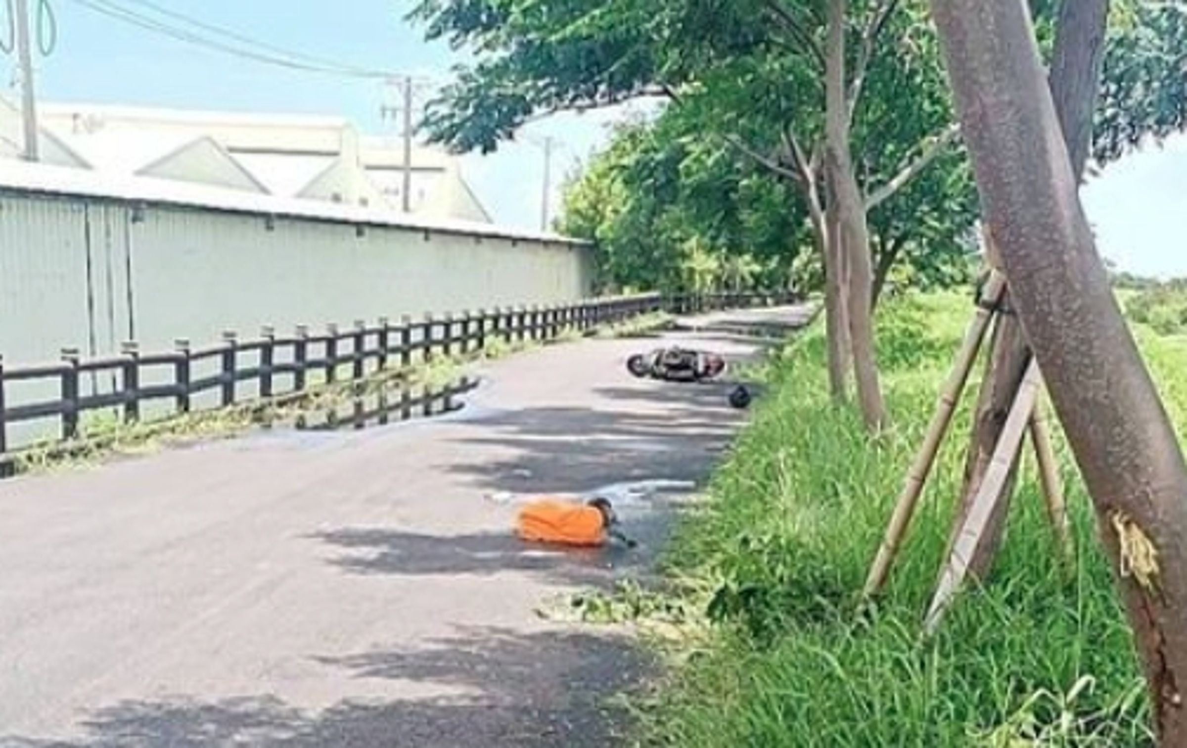 一名男騎士騎車行經河堤邊，撞樹後淌血於一旁草叢，警方初步判斷為自摔。（翻攝畫面）