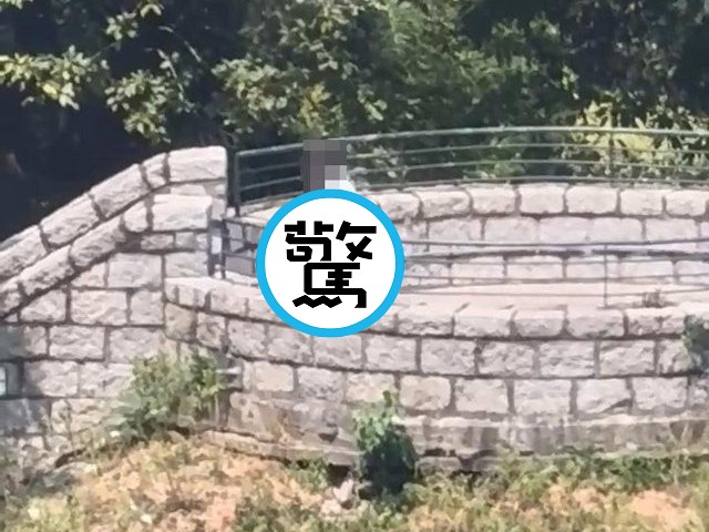 港網友號召「上山打羽毛球」，現場太驚人！小情侶愛愛無限起乩。（翻自《香港01》）