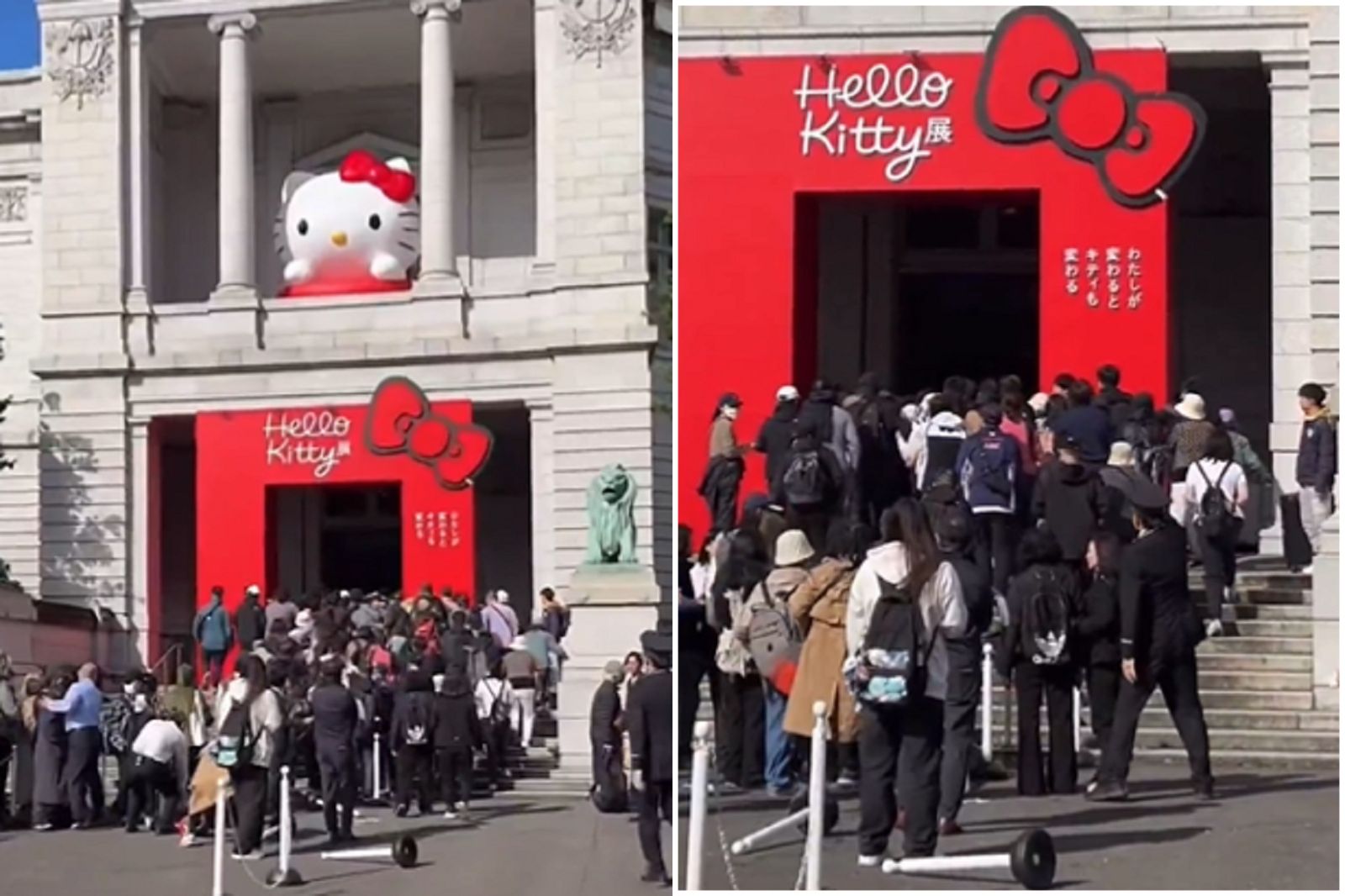 「中國蝗蟲大軍」在日本東京博物館的「Hello Kitty 50週年特展」大量買爆並擾亂現場排隊秩序，引發日本網友極度不滿。（圖／翻攝自X平台）