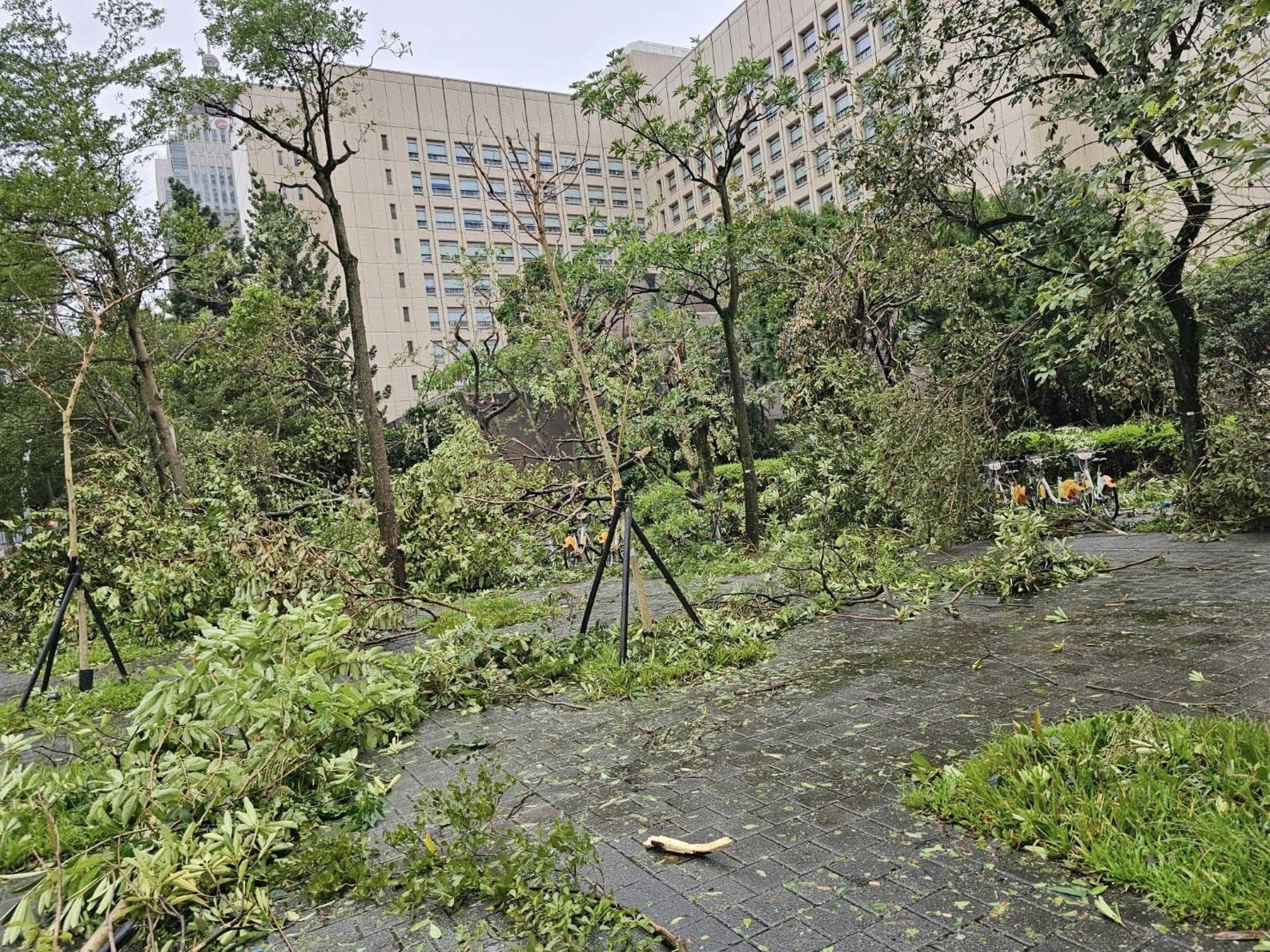 台北市今日街頭滿目瘡痍。(翻攝台北市議員游淑慧臉書)