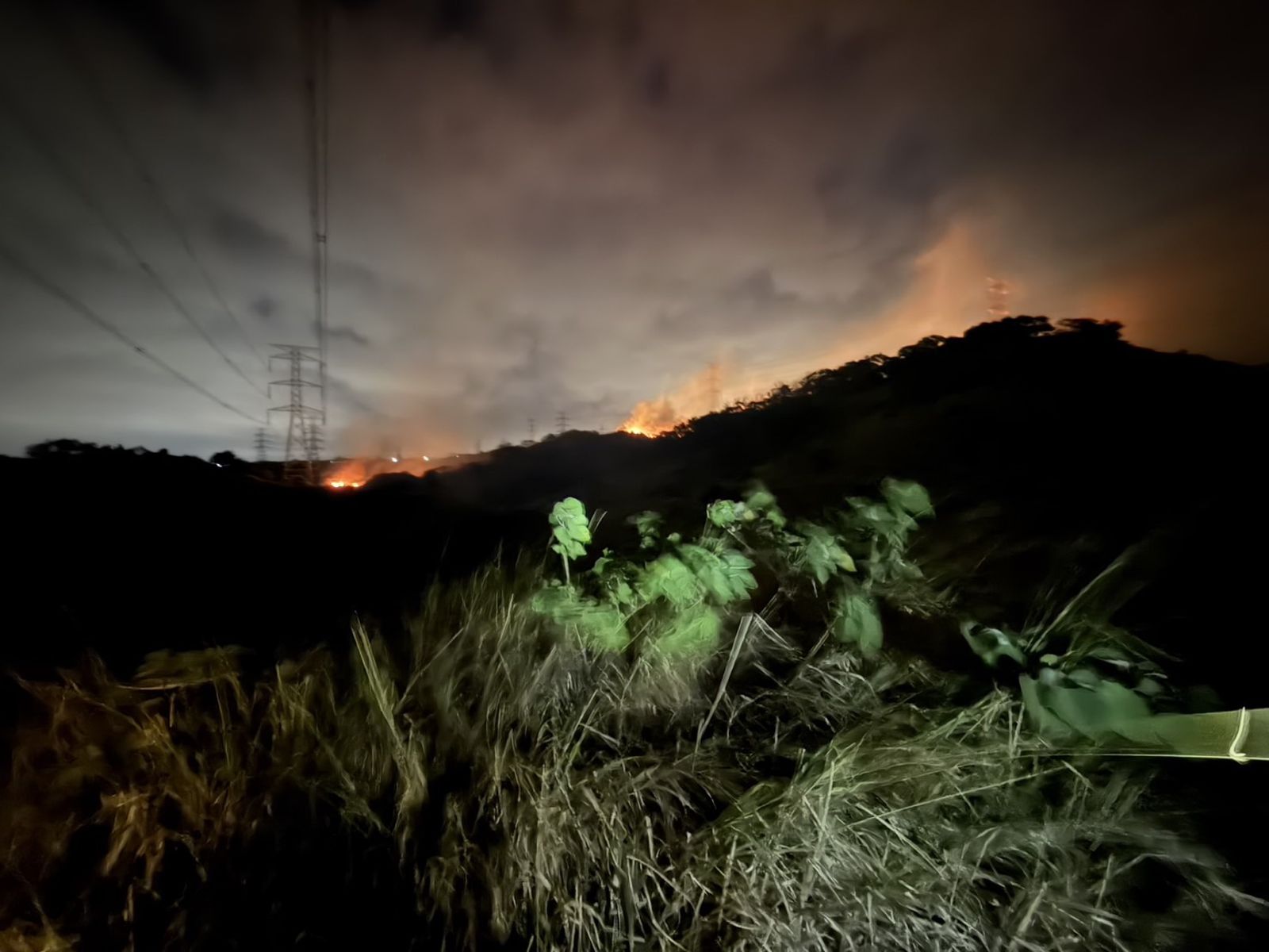 有片/國三龍井邊坡大火!濃煙直竄天際 「火光照亮夜空」驚人畫面曝光