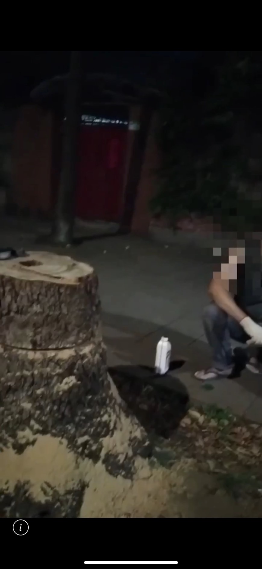 杜男鋸樹時曾被路人目擊，但他不以為意繼續鋸樹。（翻攝畫面）