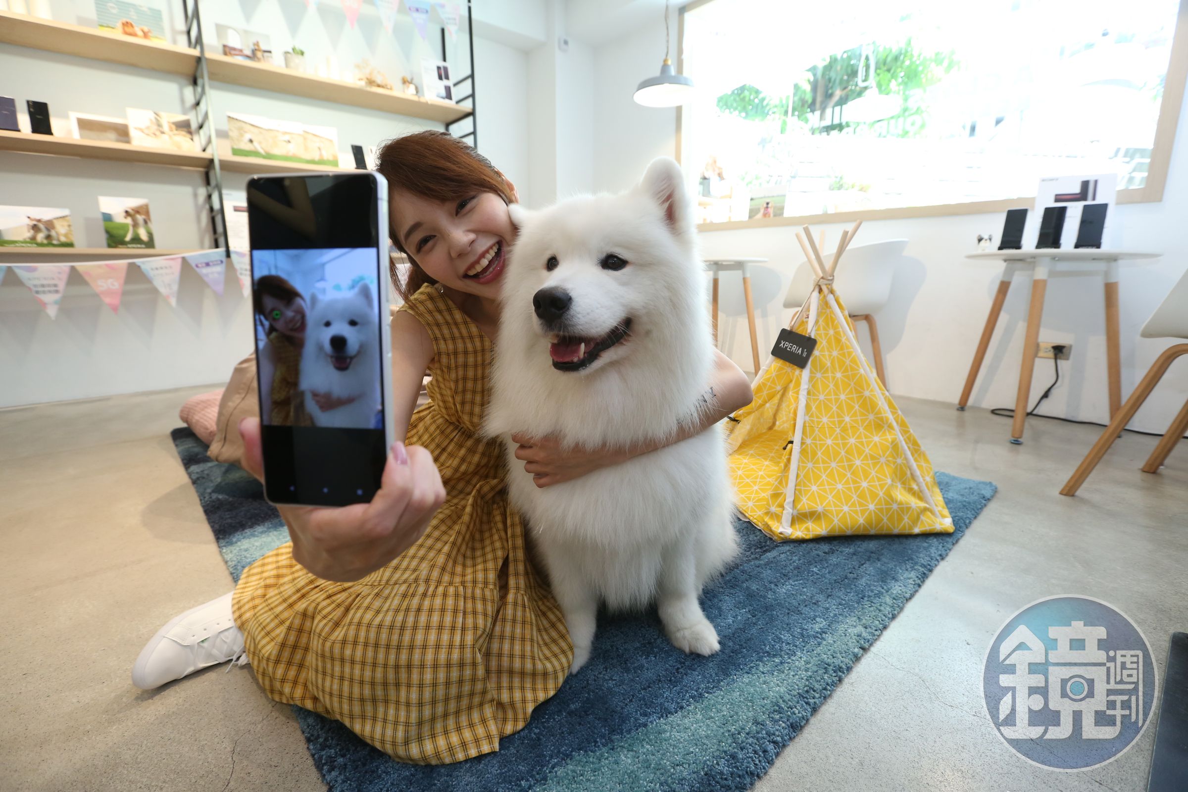 農業部推出寵物身分證，飼主可在線上追溯家中毛小孩的就醫、購買食品、絕育狀態等資訊。（寵物示意圖，本刊資料照）