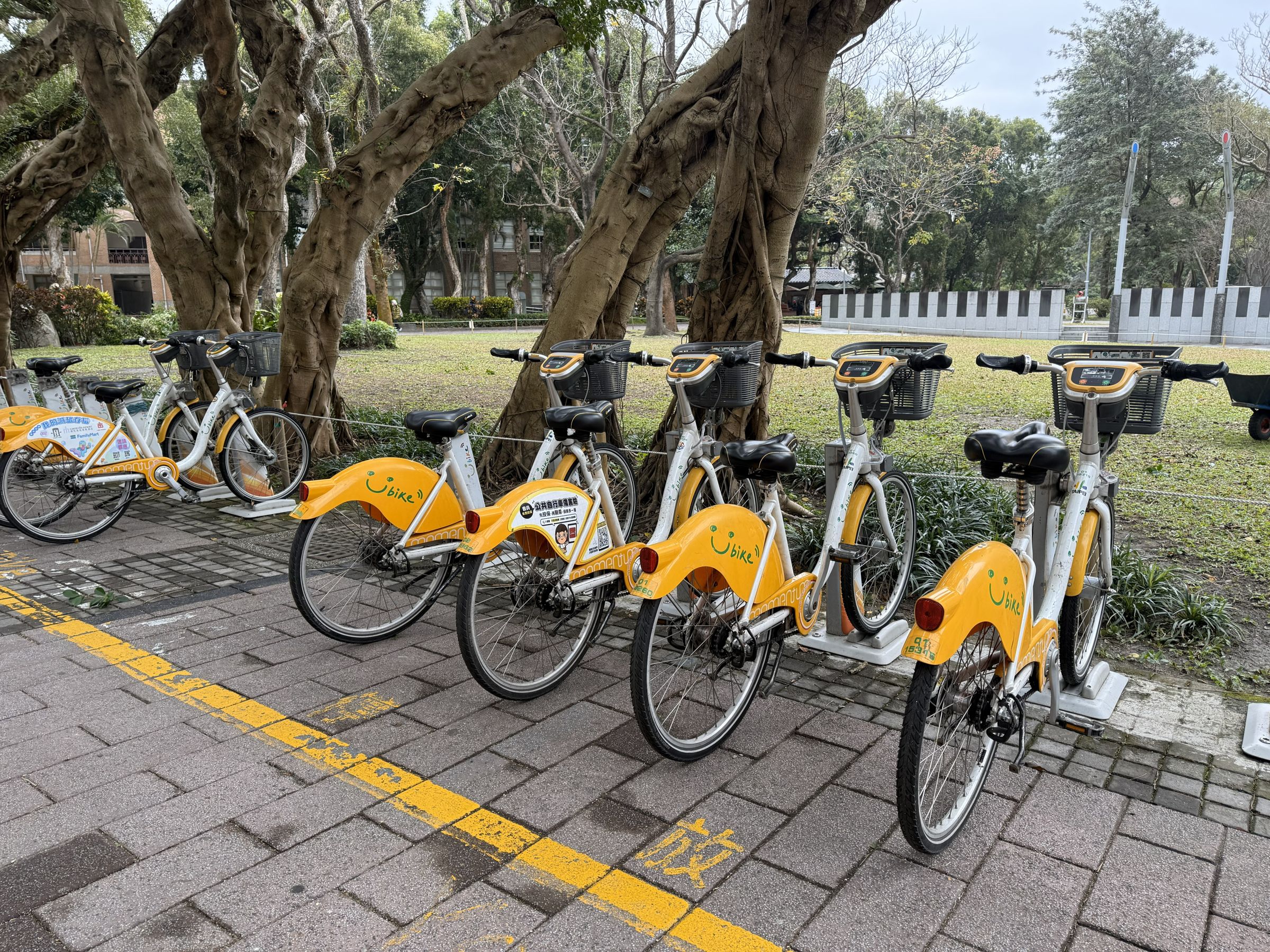 台大校園裡設置59個UBike租借站,台大生從捷運出口騎車進校園還車。(民眾提供)