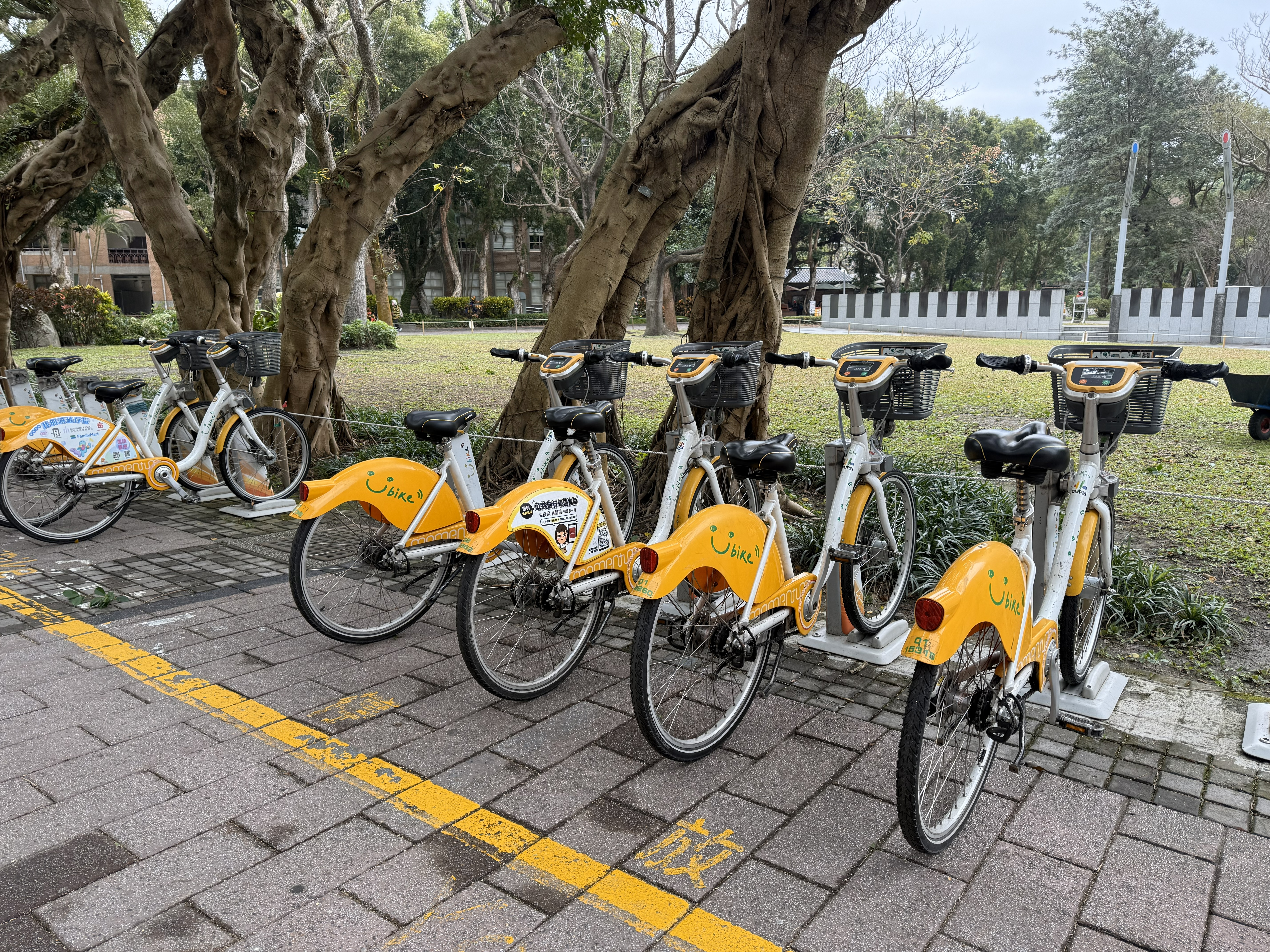 台大校園裡設置59個UBike租借站，台大生從捷運出口騎車進校園還車。（民眾提供）