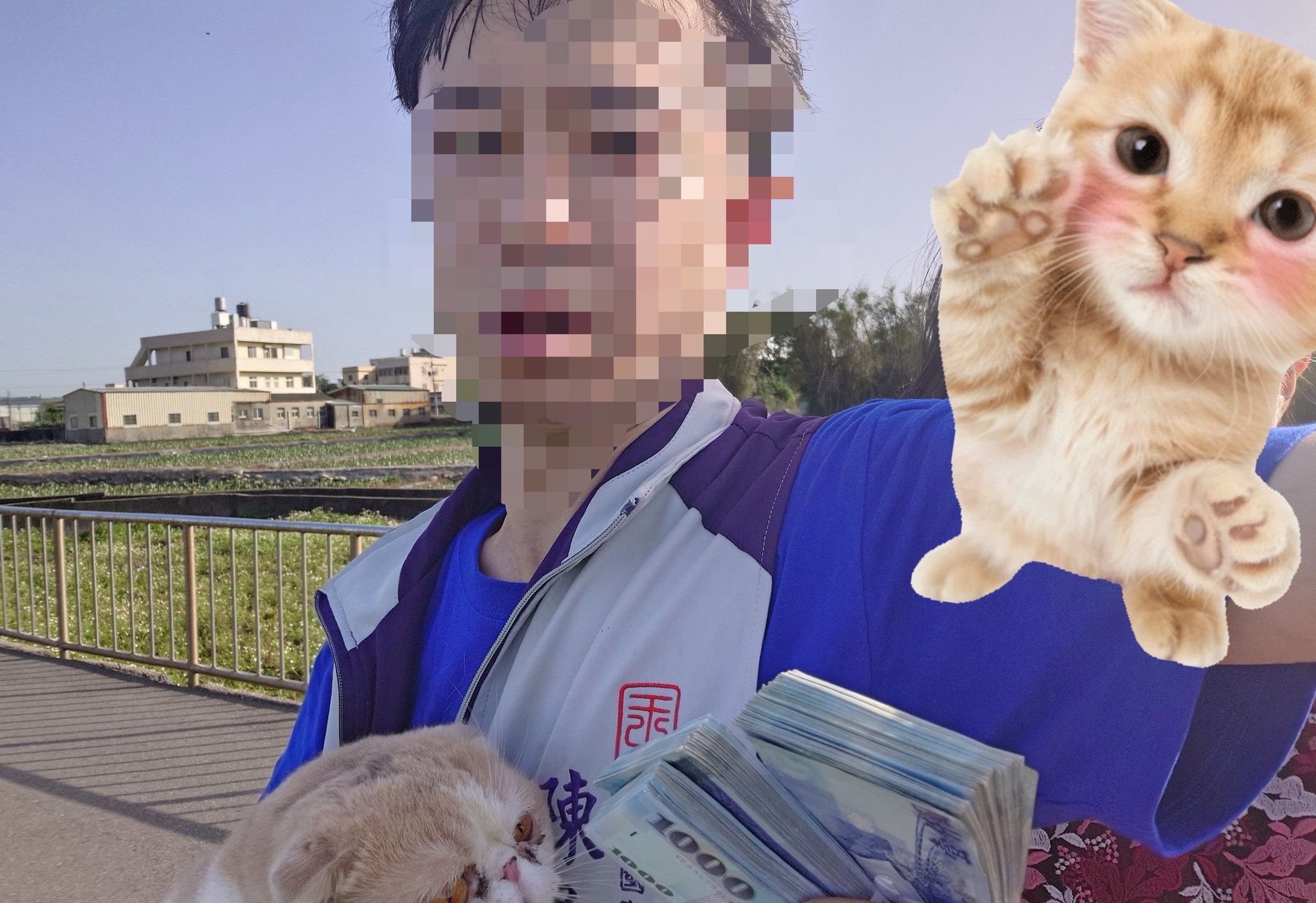 台中一名飼主重賞50萬元尋找走失愛貓。(翻攝自臉書)