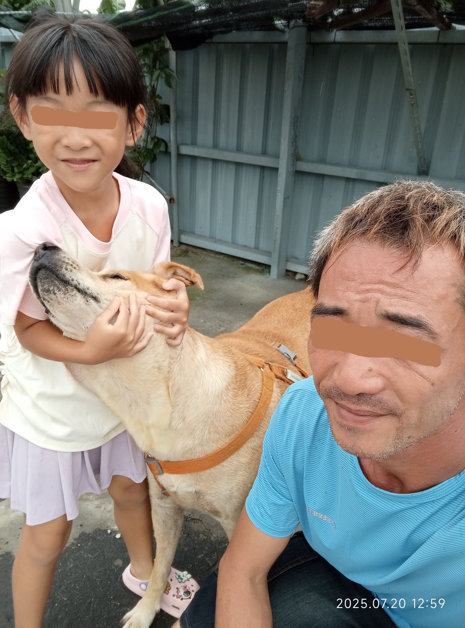 20日中午12時59分，林男、女童和住在阿祖家的老犬合拍照。（韓女提供）