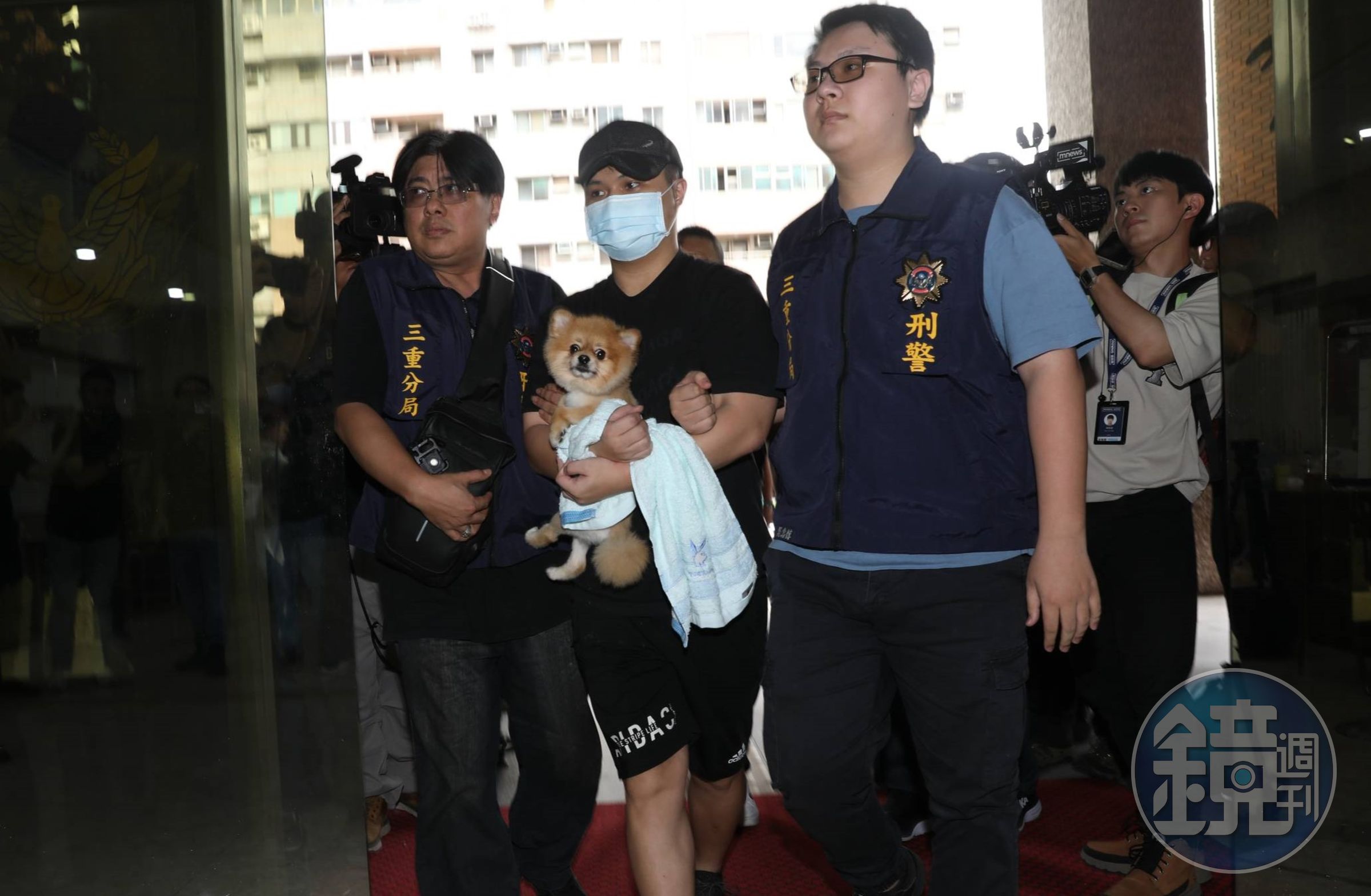 張姓凶嫌被逮捕進警局時，胸前還緊緊抱著寵物狗，讓網友笑酸「乾脆說狗才是主謀」。