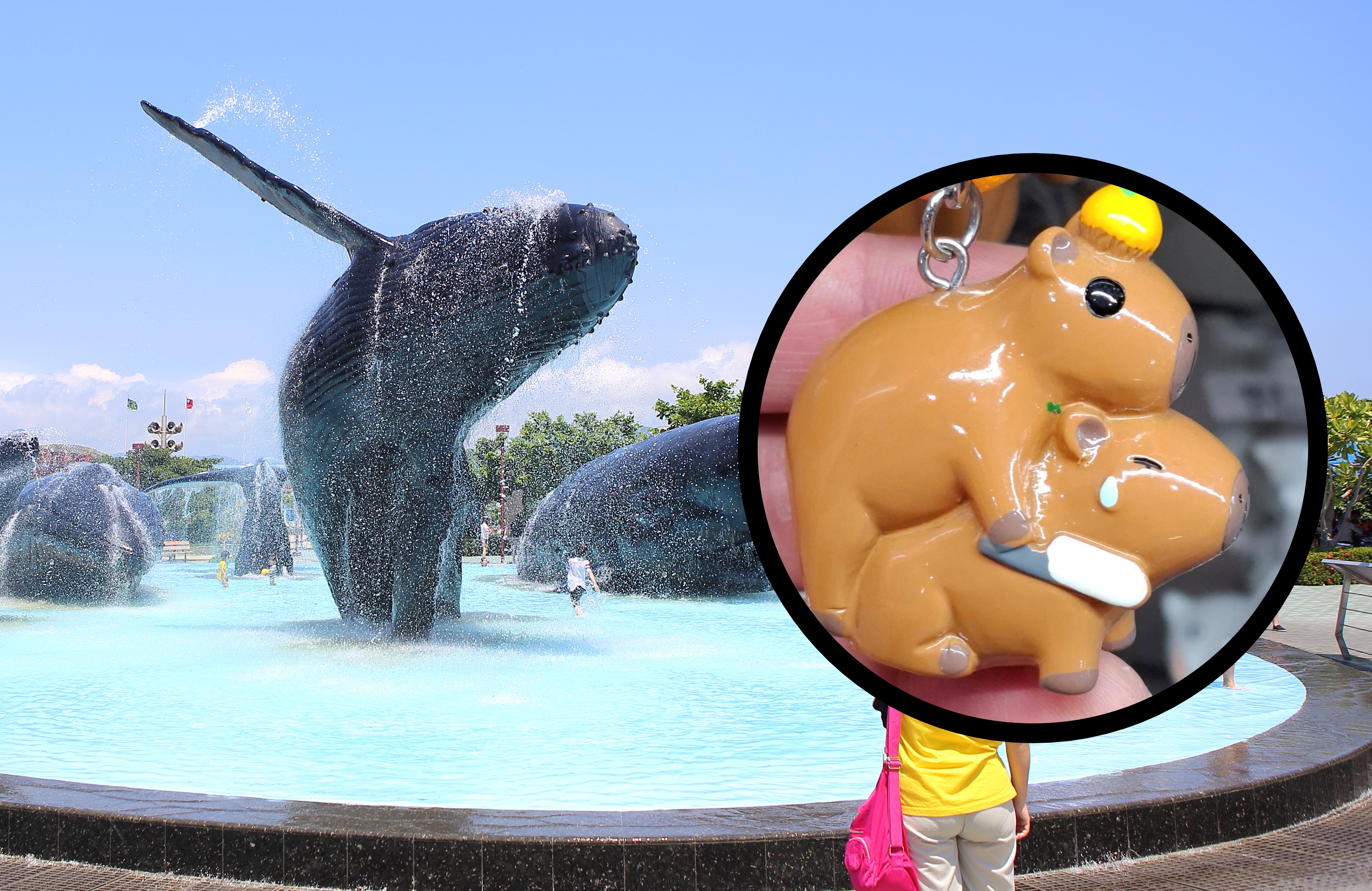 屏東海生館近日被發現有一款爭議的水豚公仔吊飾，海生館今做出回應。（翻攝自觀光署官網／臉書路上觀察學院）