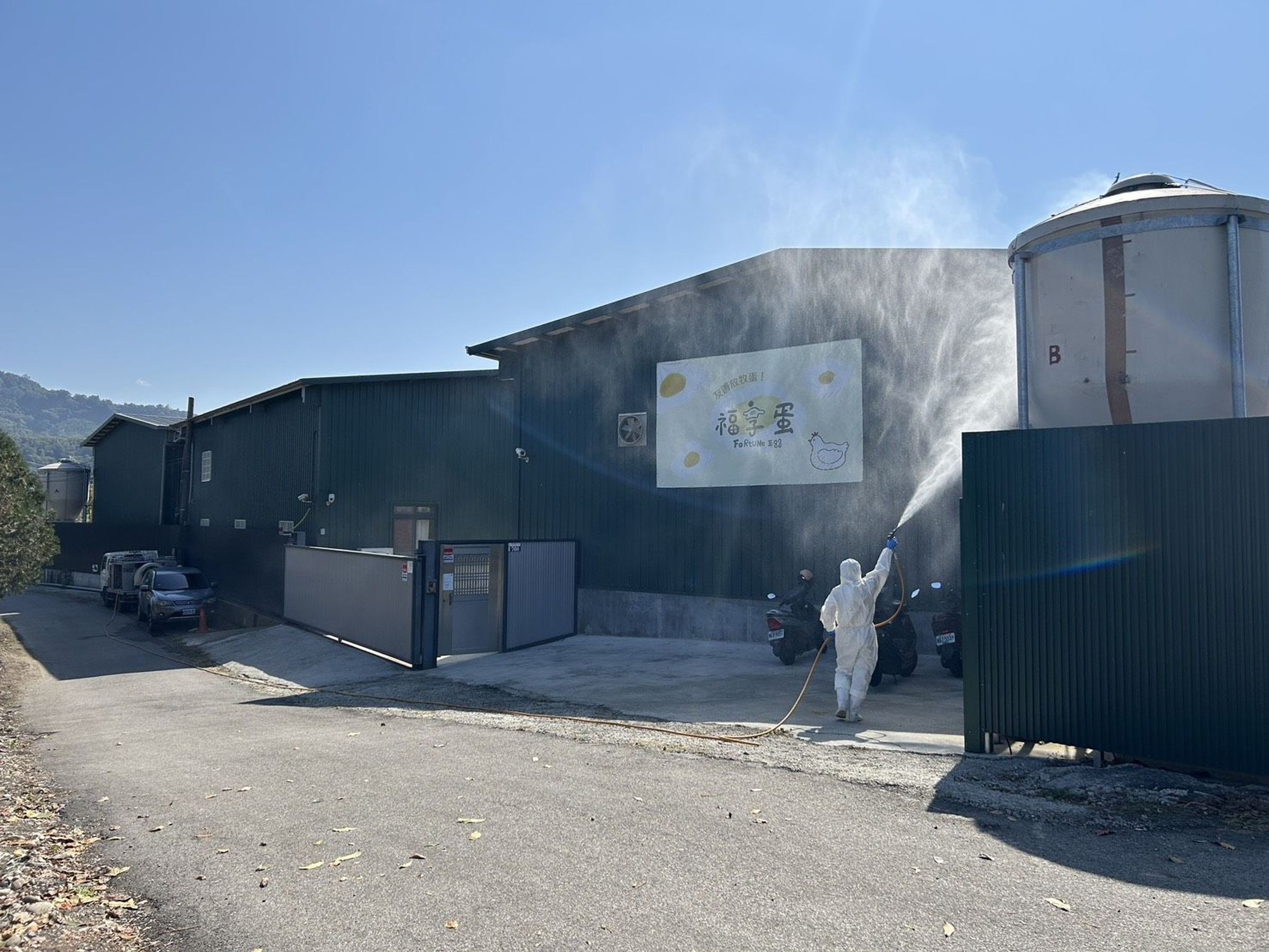 台中爆發養雞場禽流感，市府已派員前往清消並完成雞隻撲殺。（台中市政府提供）