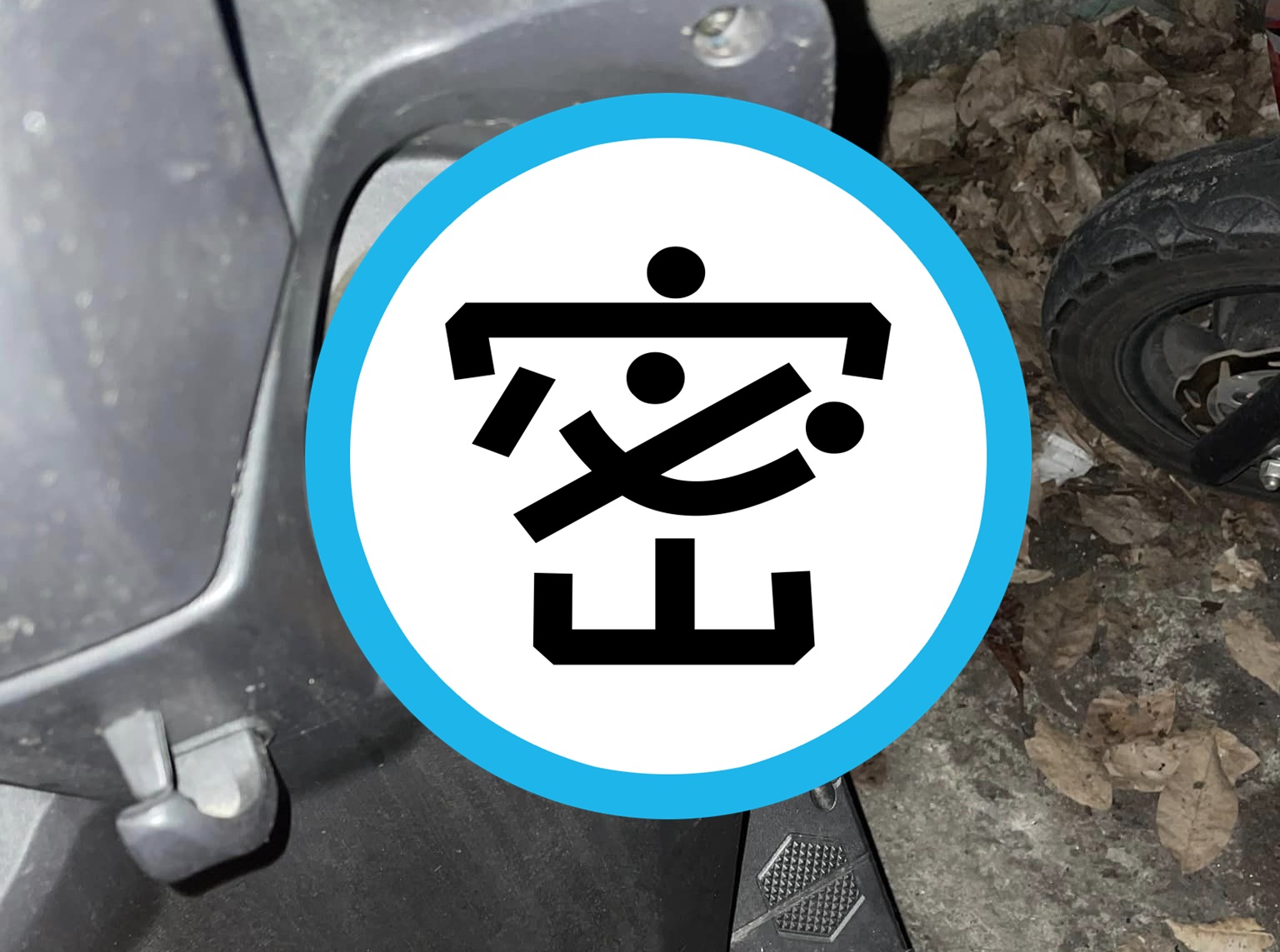 有隻可愛的小鳥在機車的飲料杯架內築巢，下面還有4顆正在孵化的蛋。（翻攝自爆廢公社）