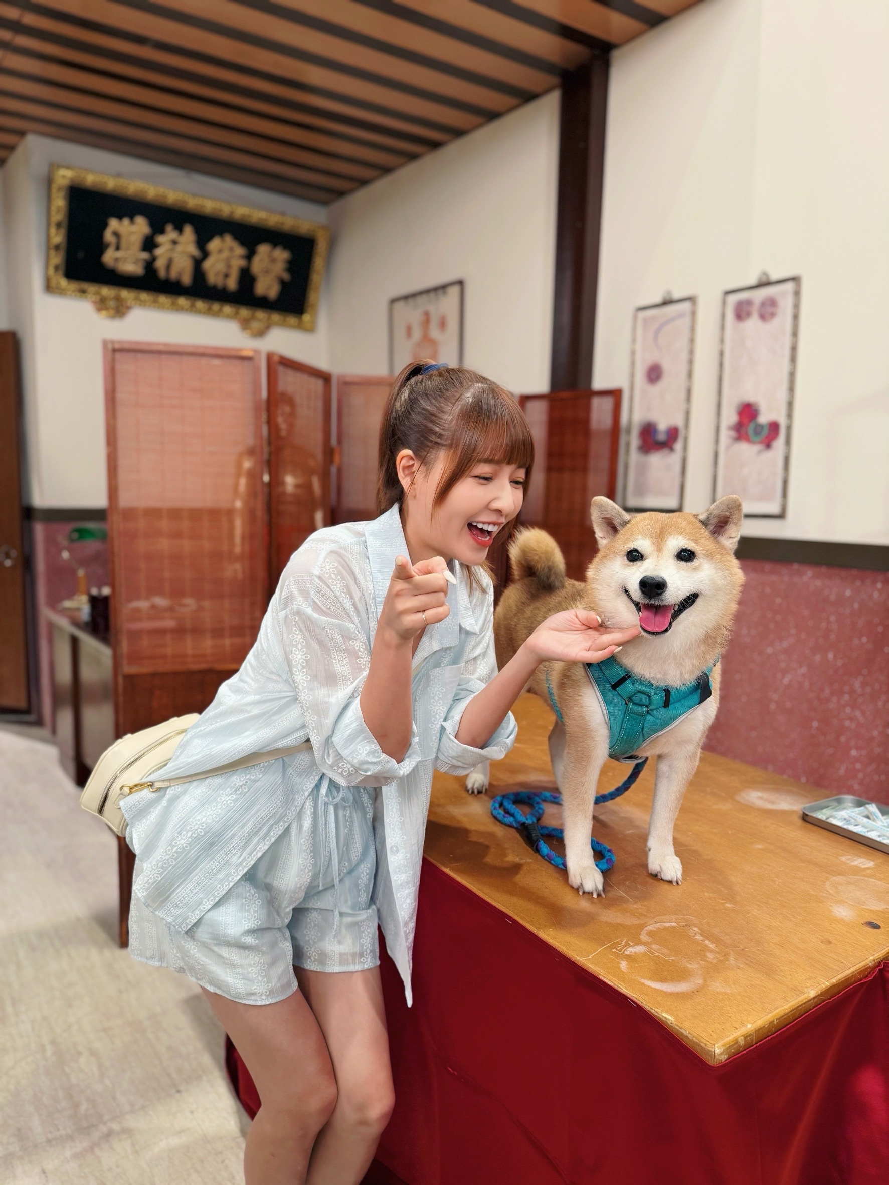 謝京穎透露家裡愛貓因她常與狗狗拍戲狂吃醋。