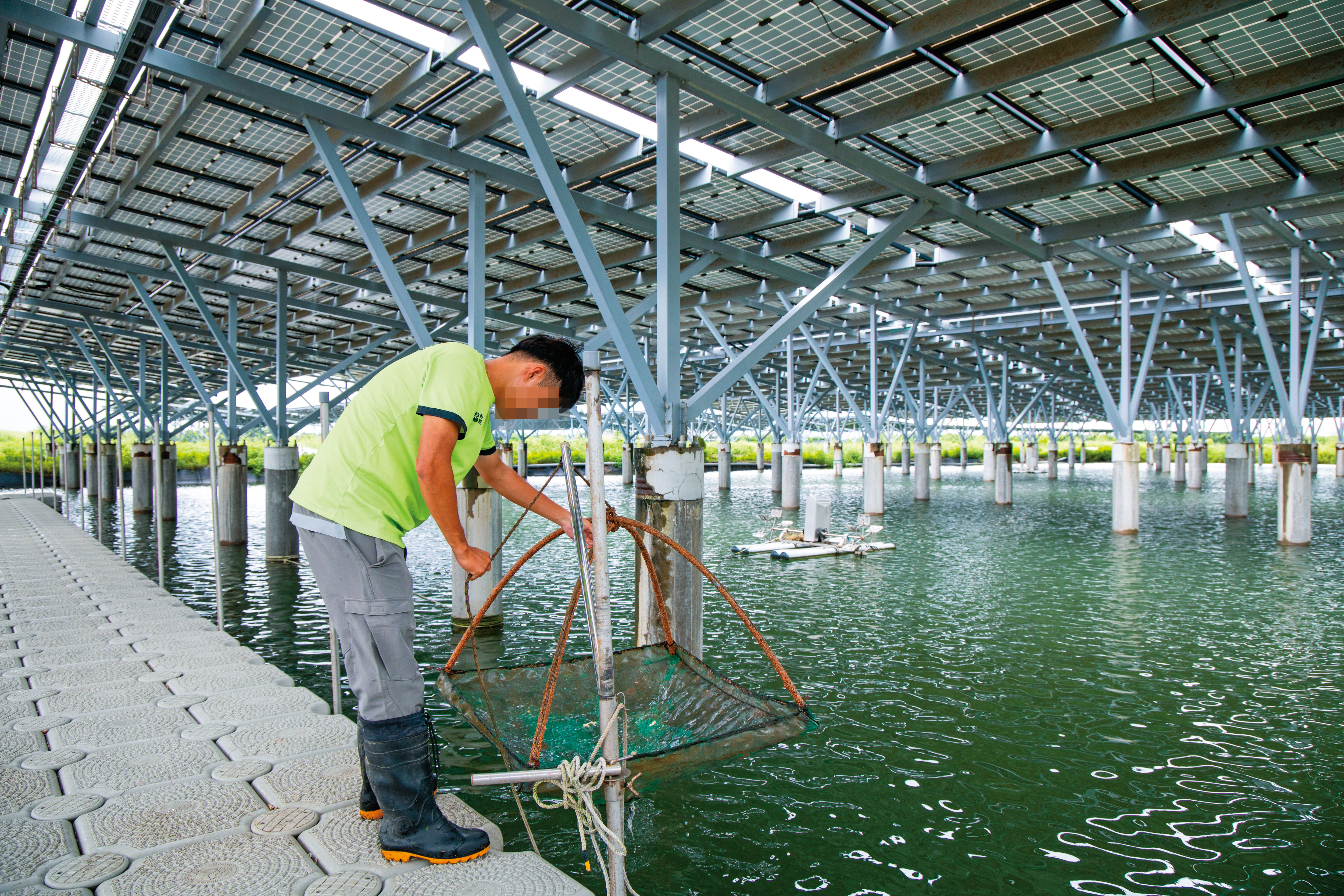 日前本刊再度前往，現場已順利養殖魚蝦。